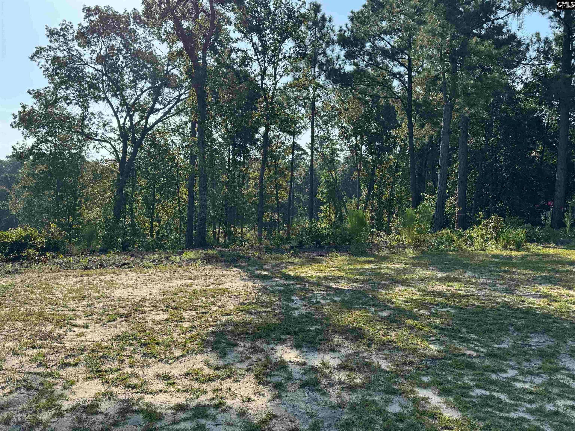 208 Crickentree Drive, Blythewood, SC 29016
