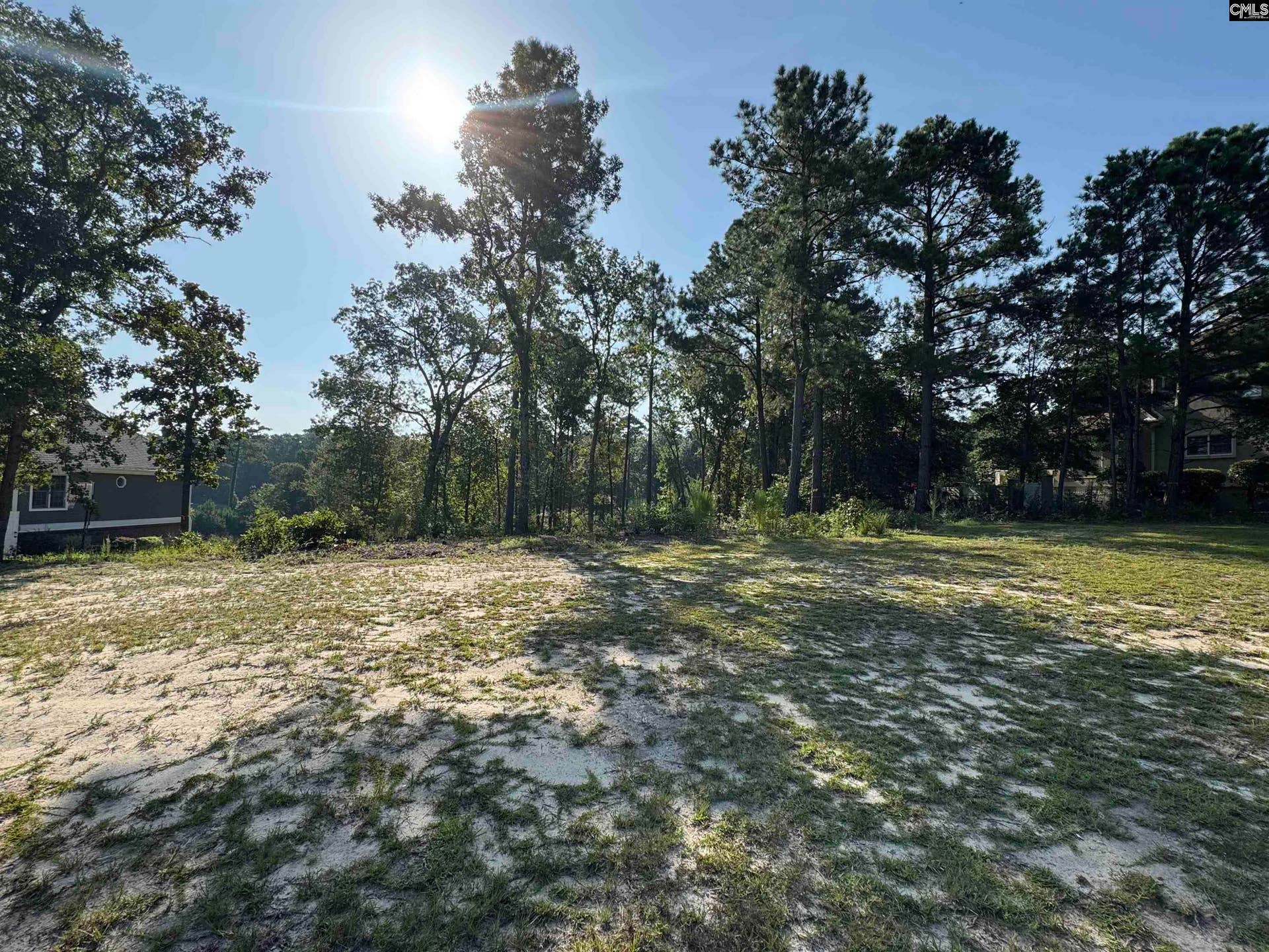 208 Crickentree Drive, Blythewood, SC 29016