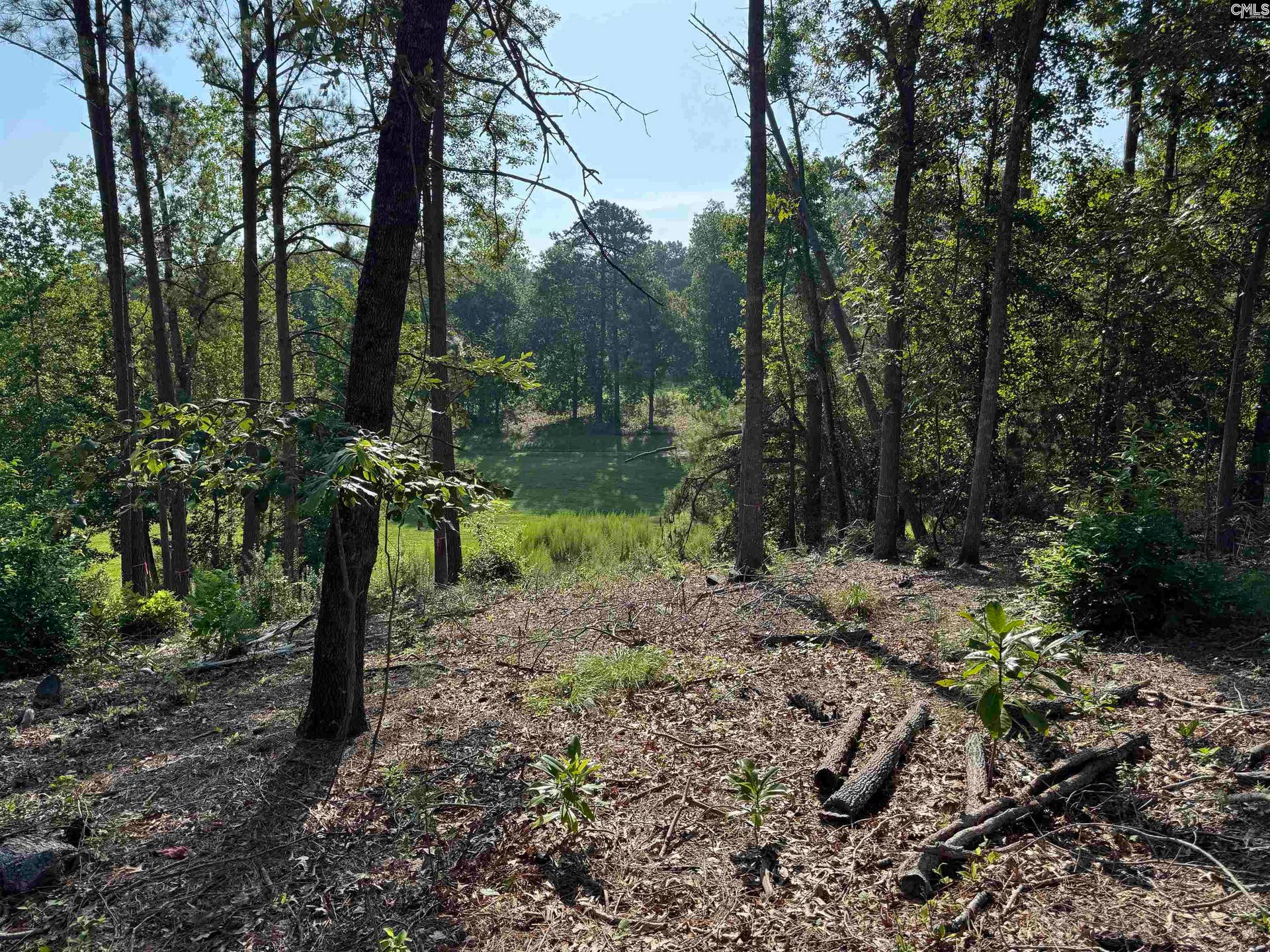 208 Crickentree Drive, Blythewood, SC 29016
