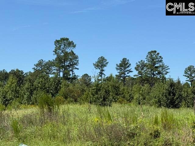 0 Lathan Drive, Orangeburg, SC 29118