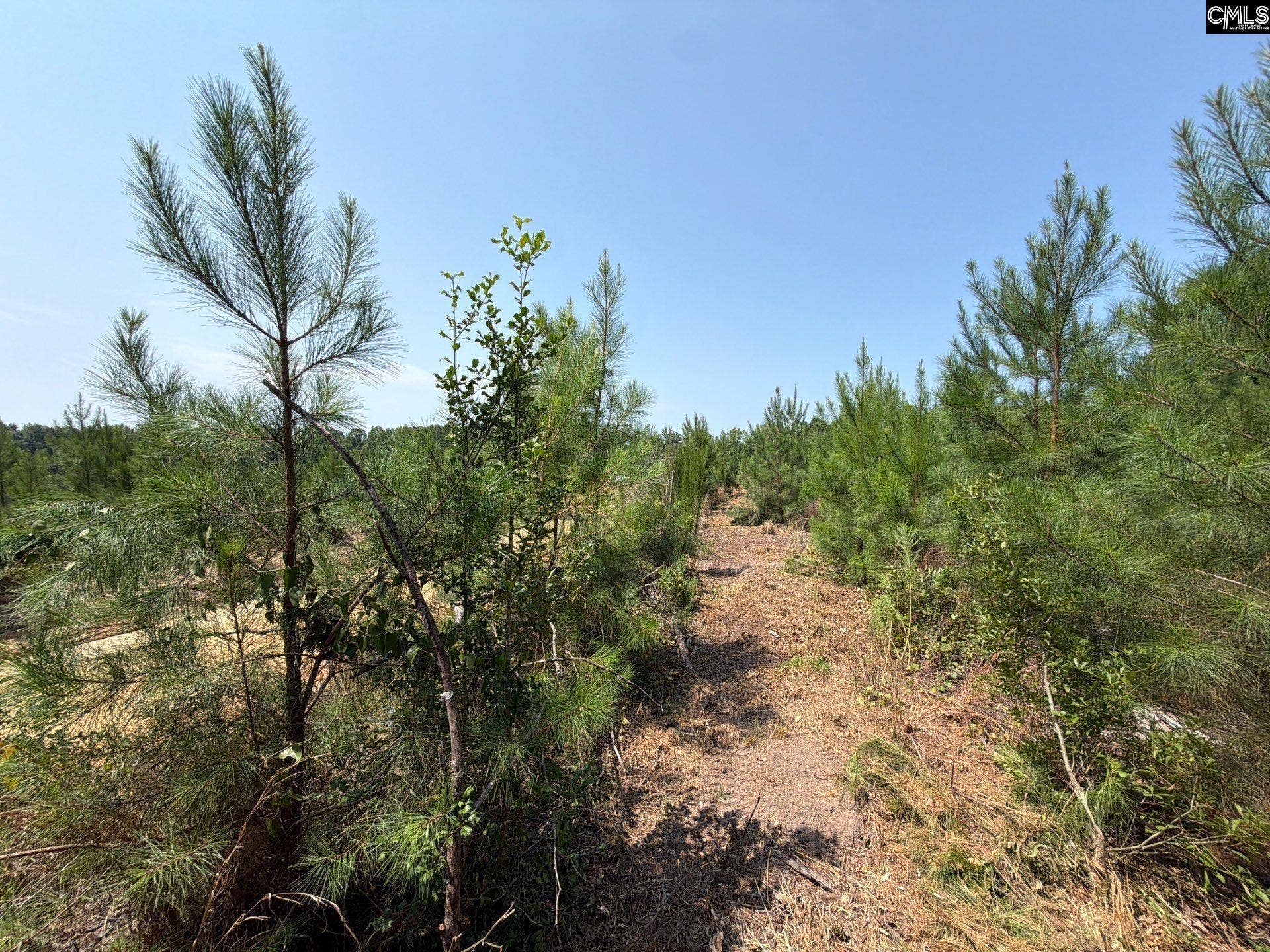 BTF 2 Bradley Trail, Jefferson, SC 29067
