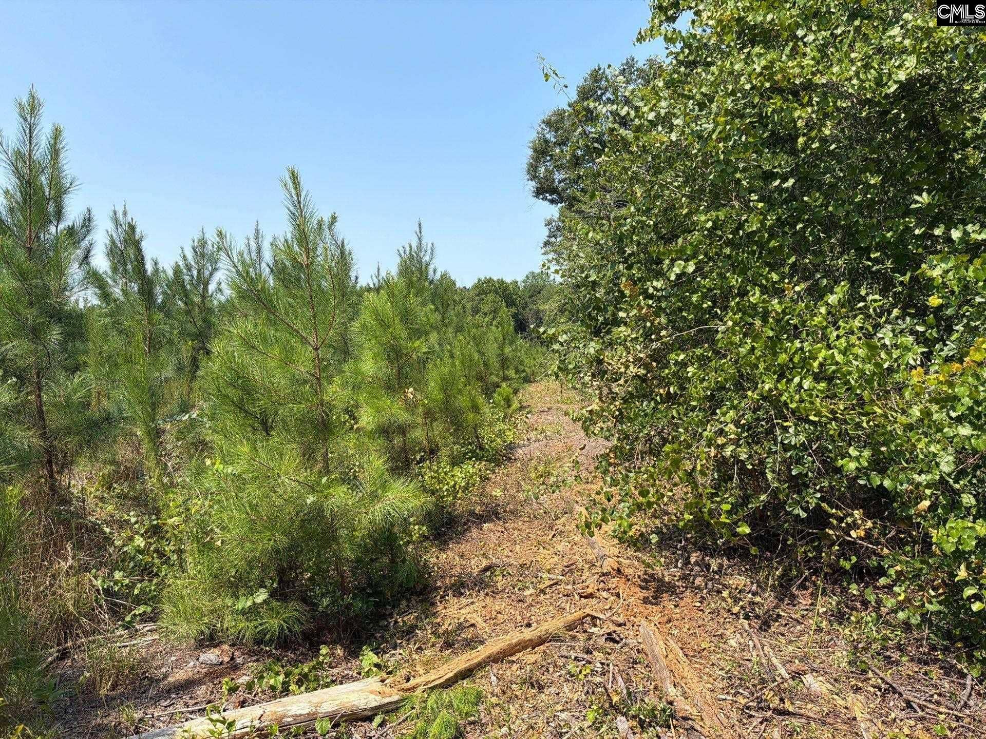 BTF 2 Bradley Trail, Jefferson, SC 29067
