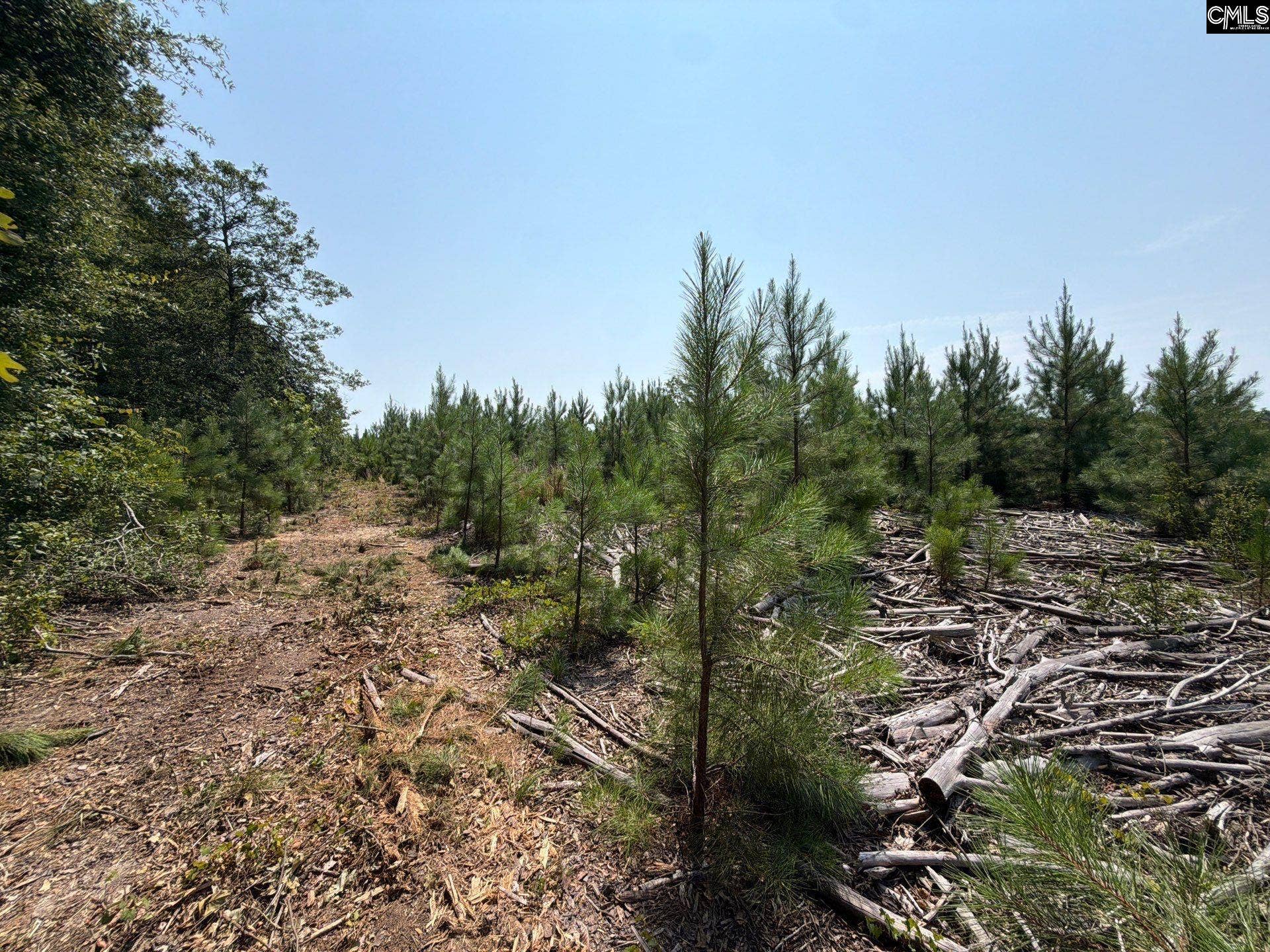 BTF 2 Bradley Trail, Jefferson, SC 29067