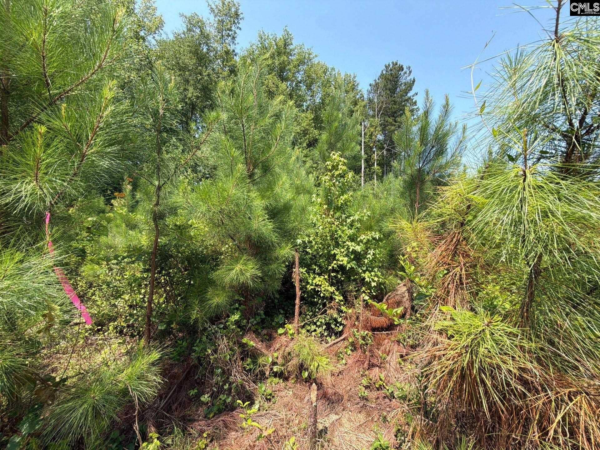 BTF 5 Bradley Trail, Jefferson, SC 29067