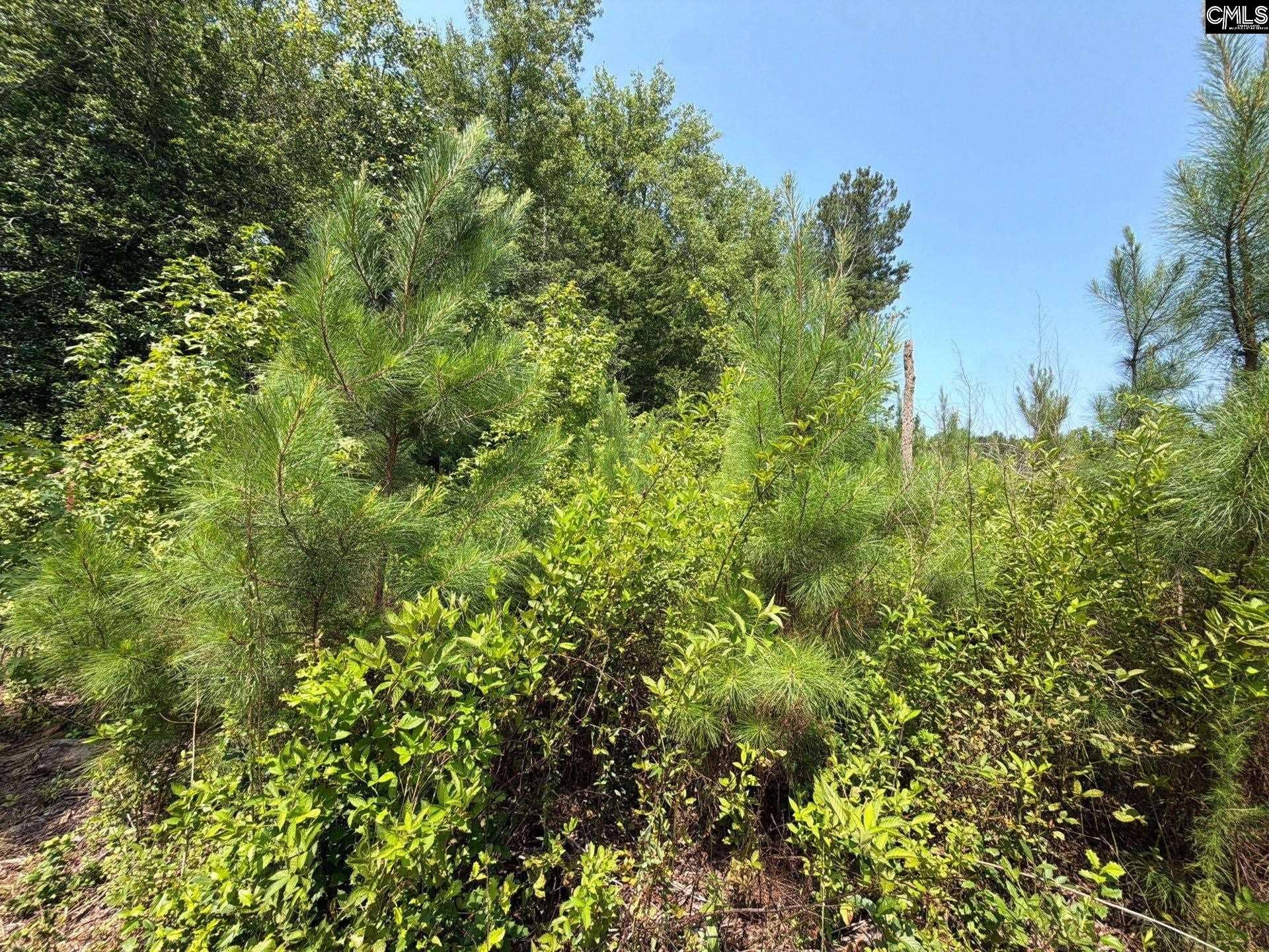 BTF 5 Bradley Trail, Jefferson, SC 29067