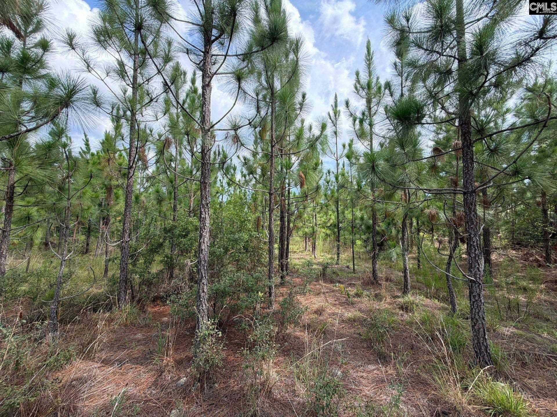 BTF 6 Bradley Trail, Jefferson, SC 29067