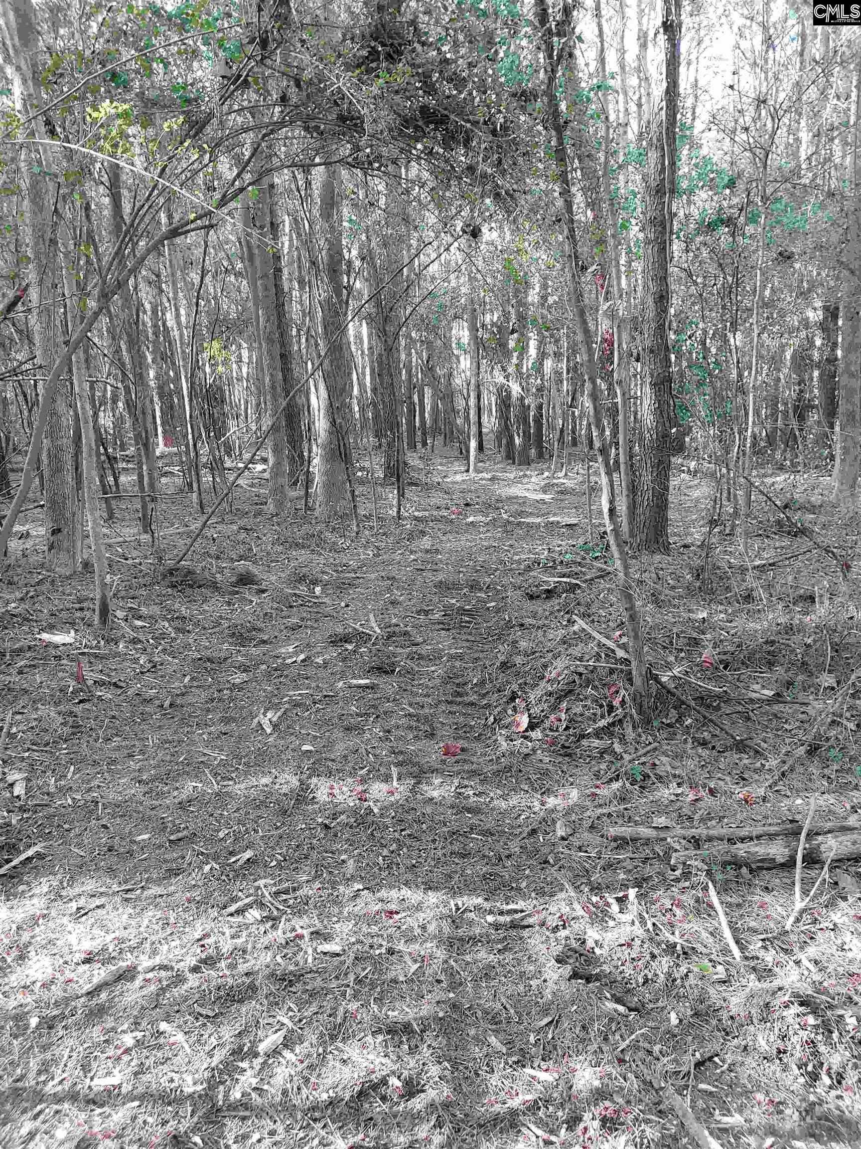 3018 Ebenezer Road, Sumter, SC 29153-9589