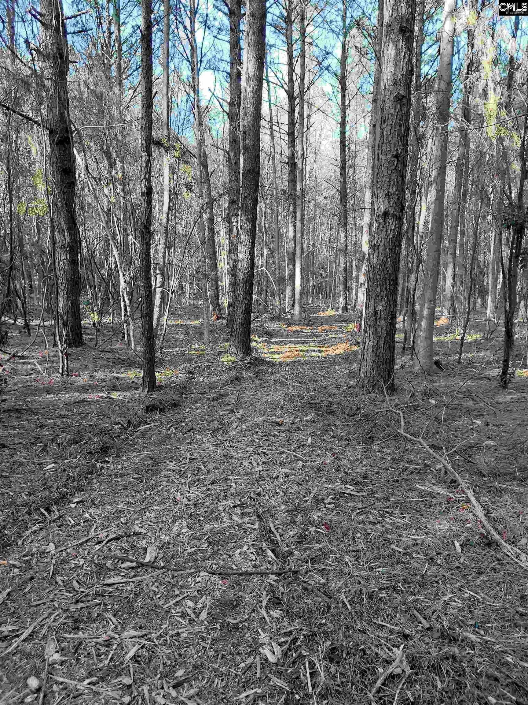 3018 Ebenezer Road, Sumter, SC 29153-9589
