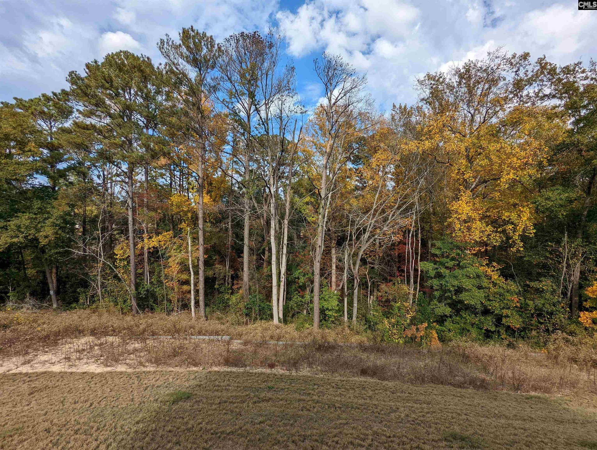 1033 Colony Creek Court, Lexington, SC 29073