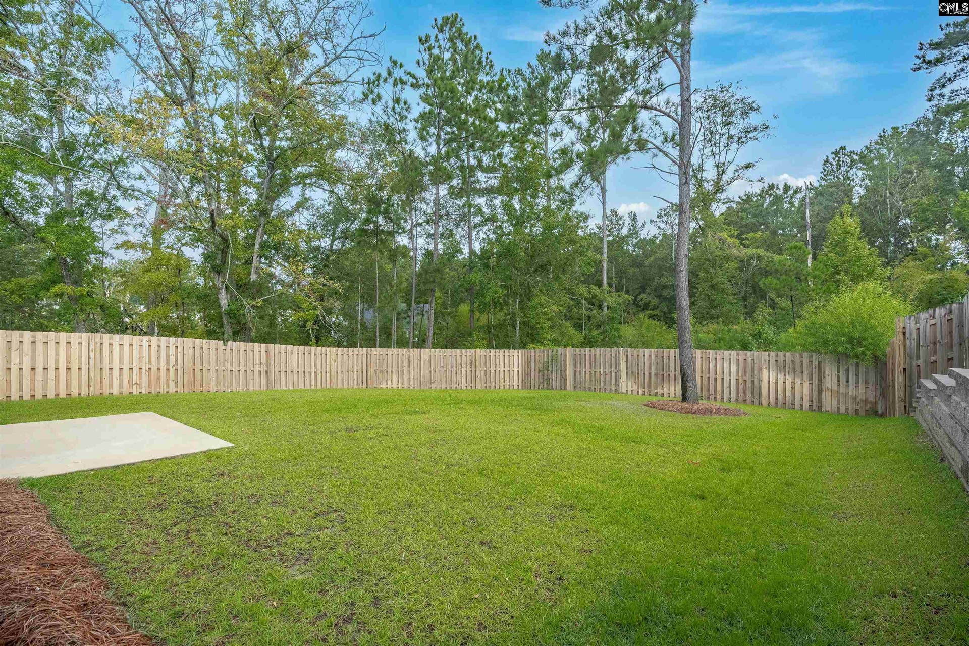 132 Irish Setter Street, Chapin, SC 29036
