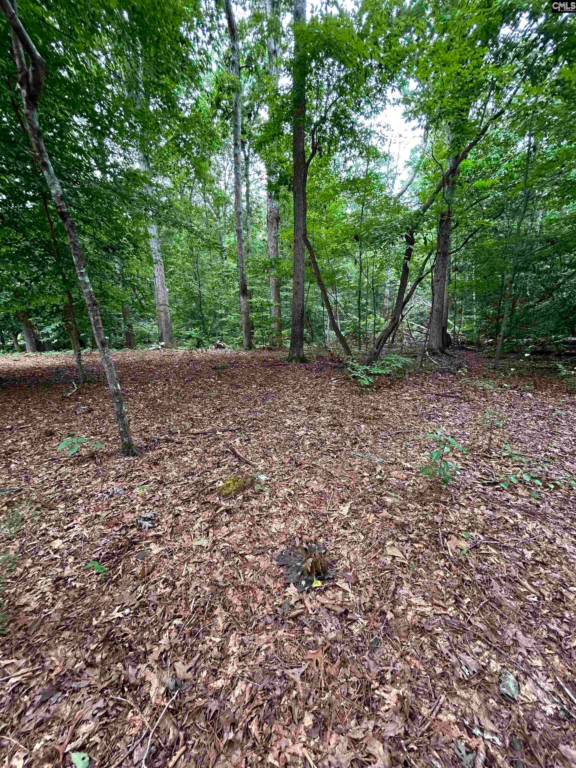 0 Pinewood Drive, #Parcel B, Chapin, SC 29036