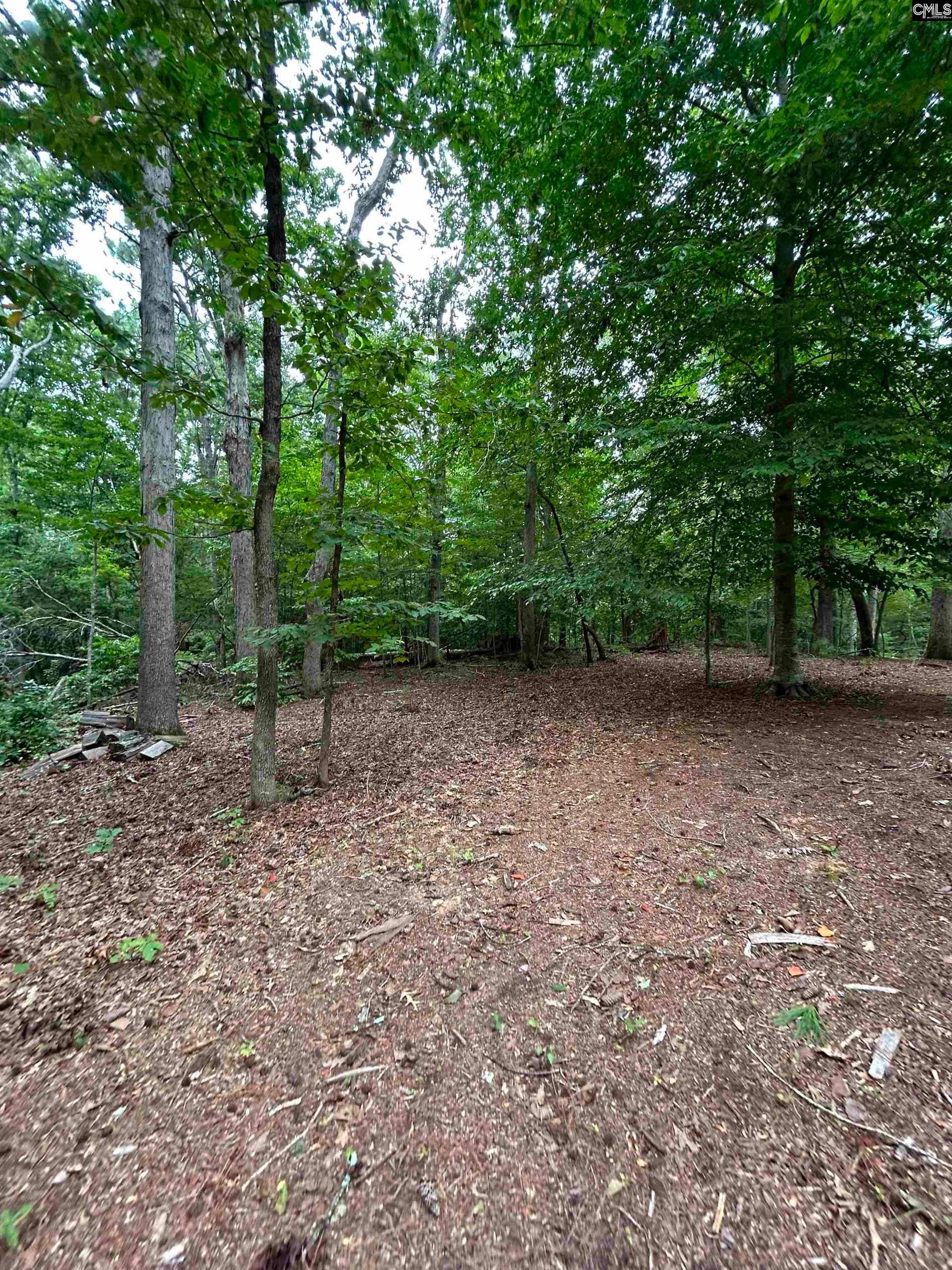 0 Pinewood Drive, #Parcel B, Chapin, SC 29036