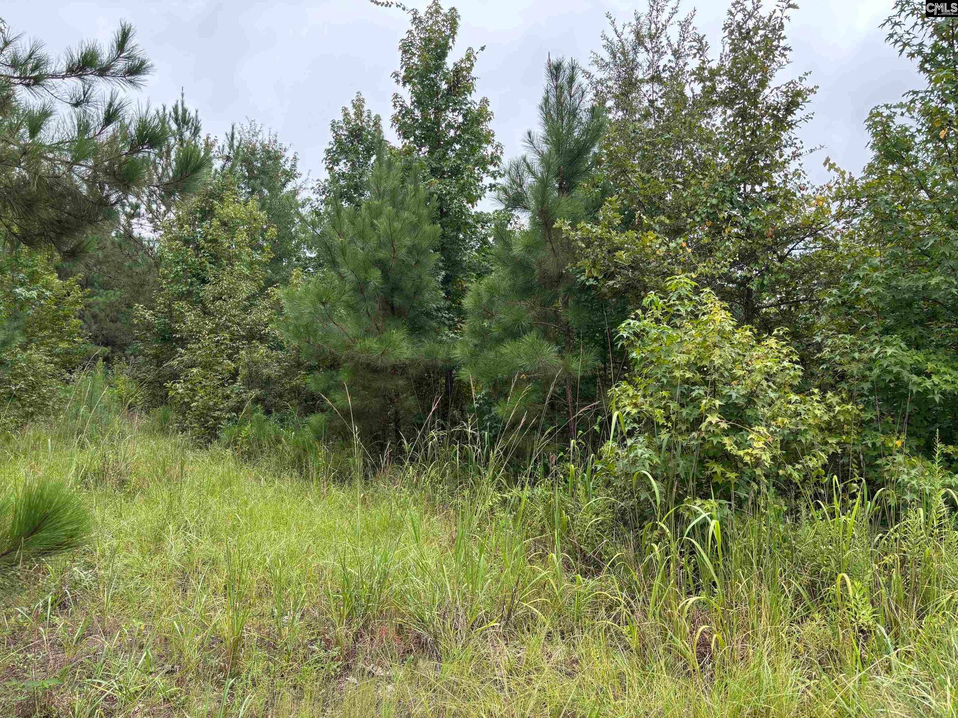 1008 Langford Road, Blythewood, SC 29016