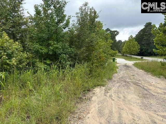 1008 Langford Road, Blythewood, SC 29016