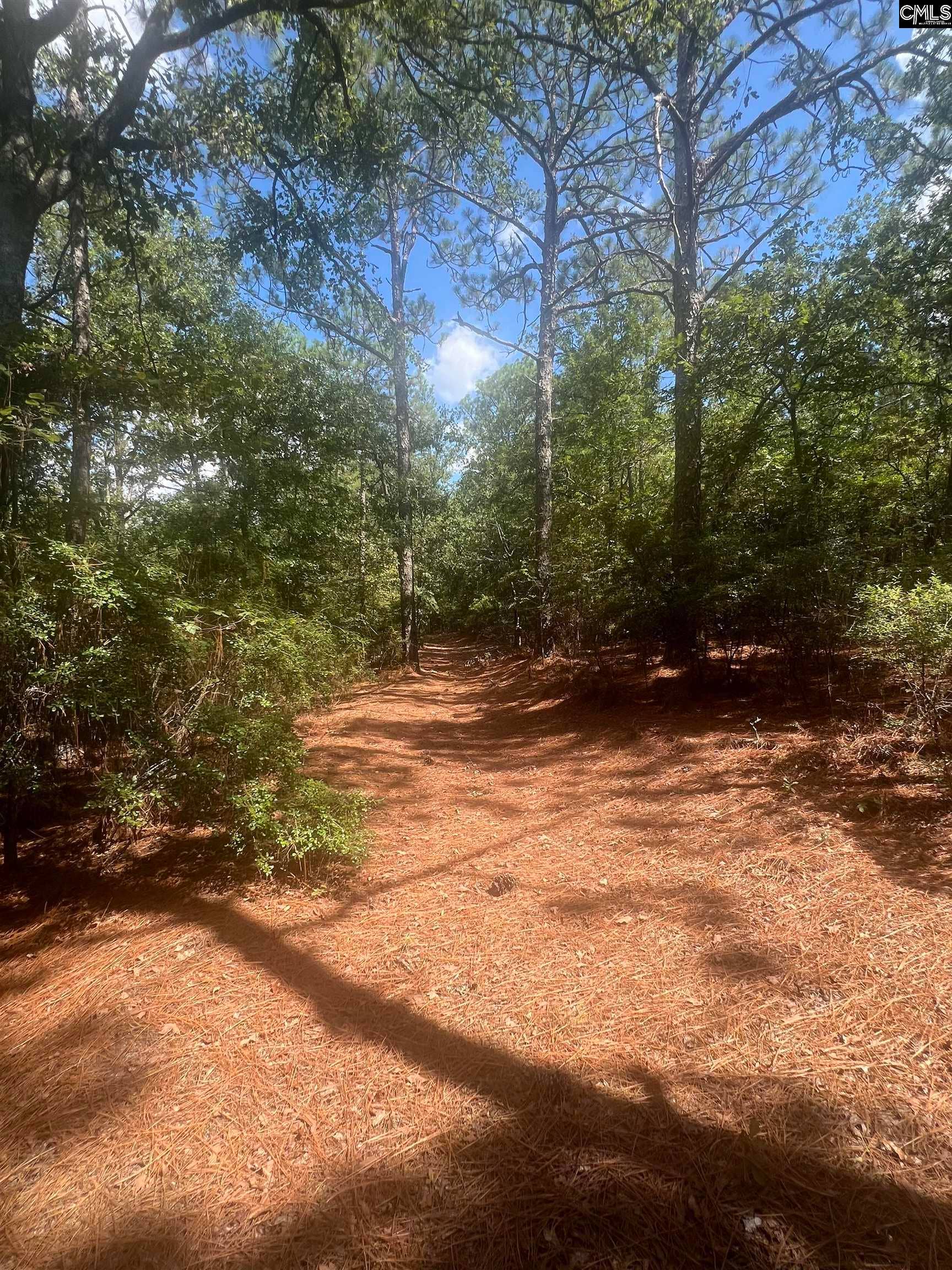 1529 Elbert Taylor Road, Pelion, SC 29123