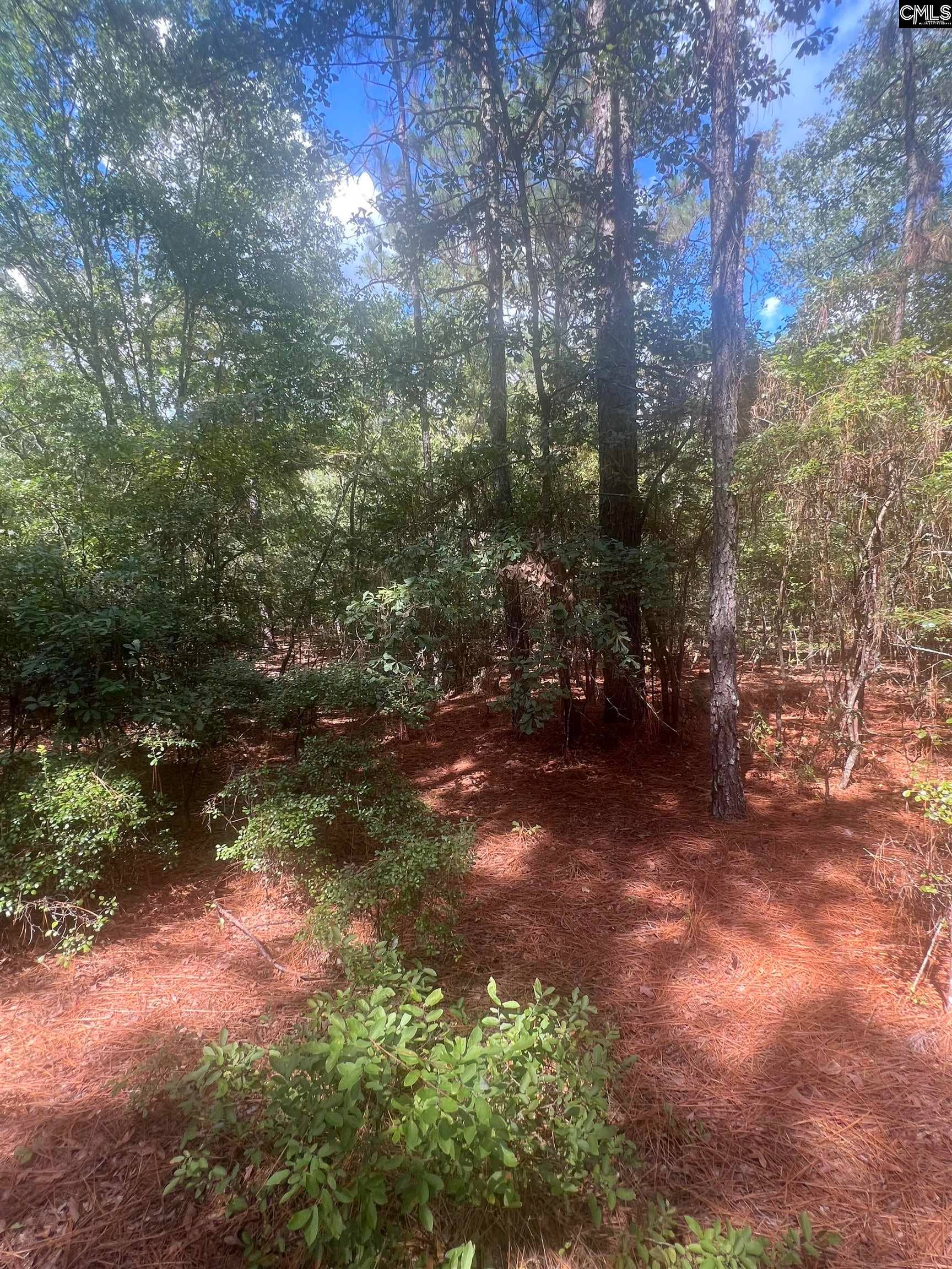1529 Elbert Taylor Road, Pelion, SC 29123