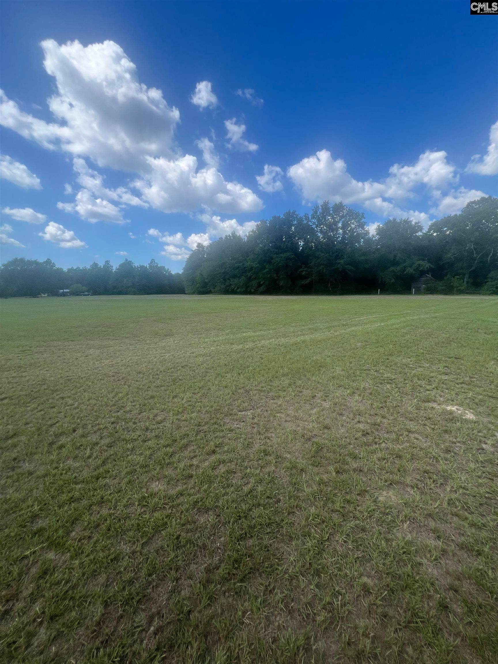 1529 Elbert Taylor Road, Pelion, SC 29123