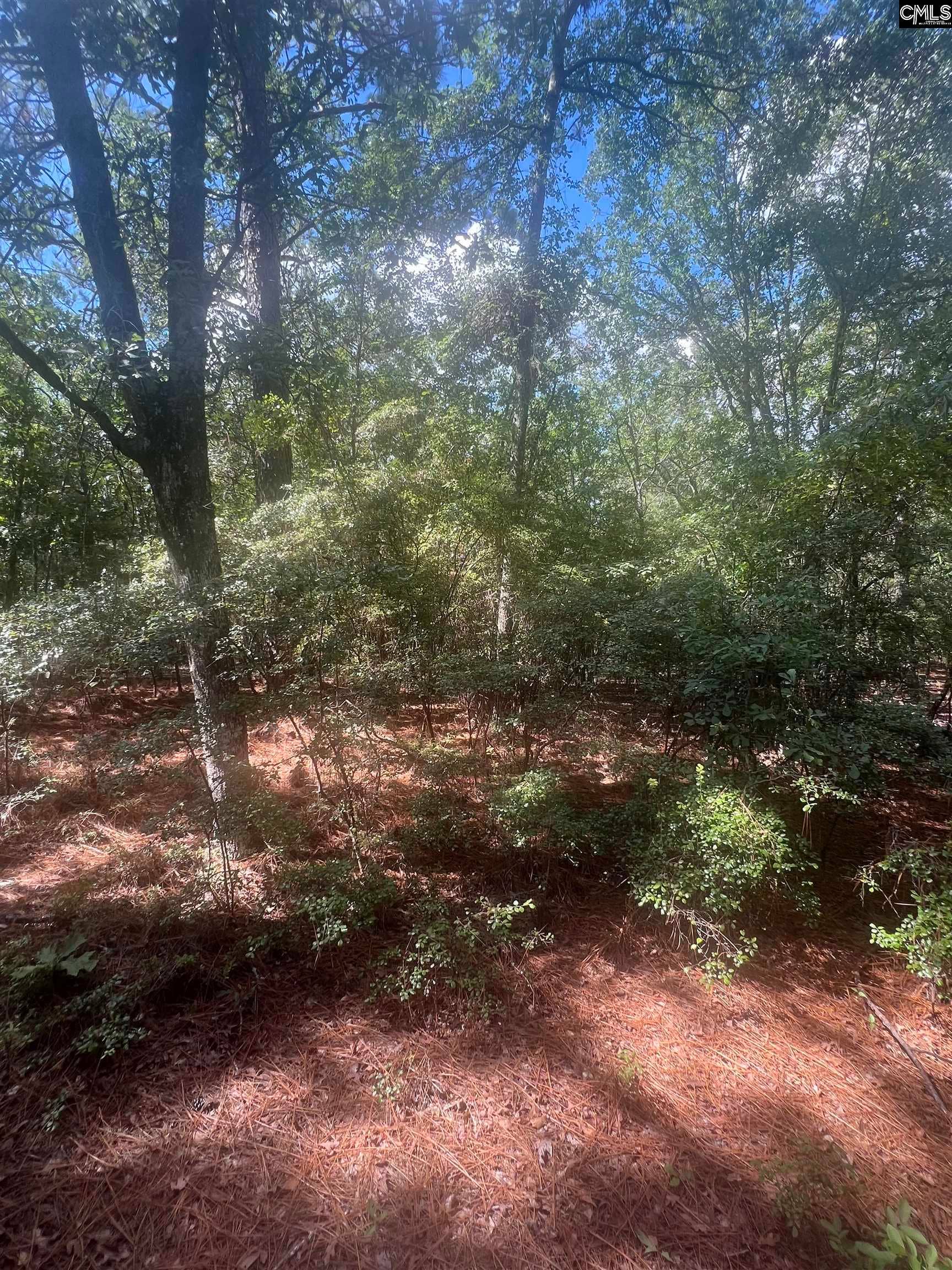 1529 Elbert Taylor Road, Pelion, SC 29123