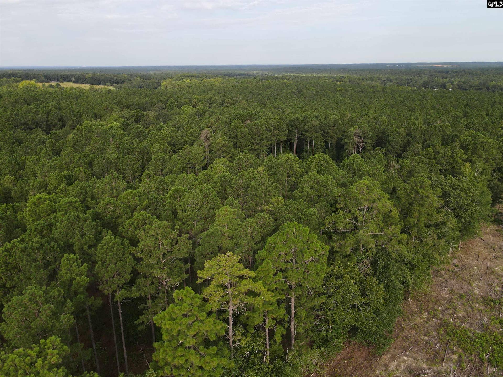Tract 1 Bridle Path Road, Camden, SC 29020