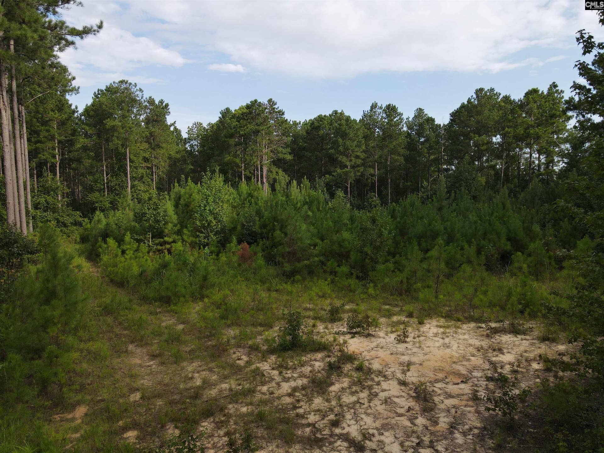 Tract 1 Bridle Path Road, Camden, SC 29020