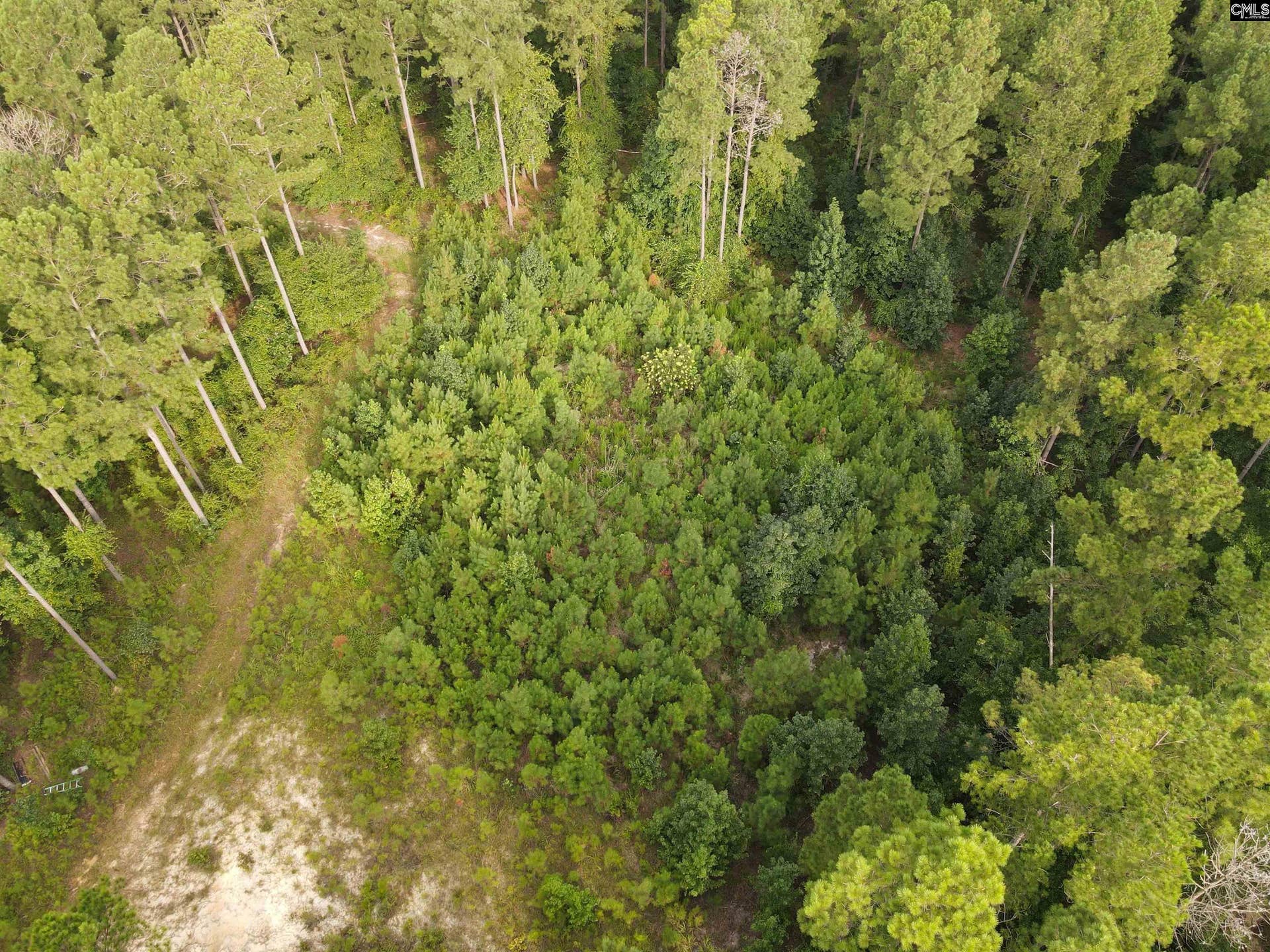 Tract 2 Bridle Path Road, Camden, SC 29020