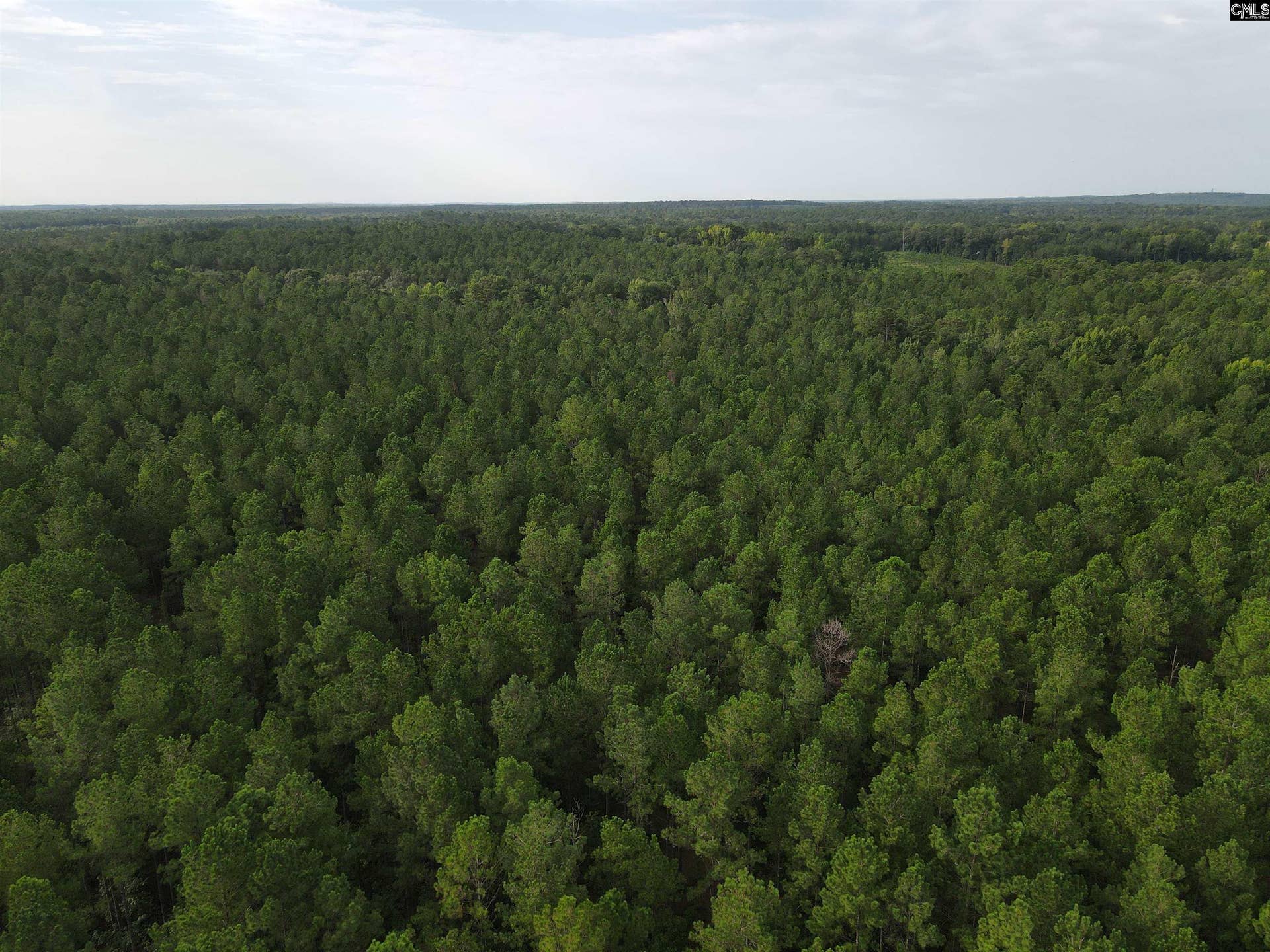 Tract 2 Bridle Path Road, Camden, SC 29020