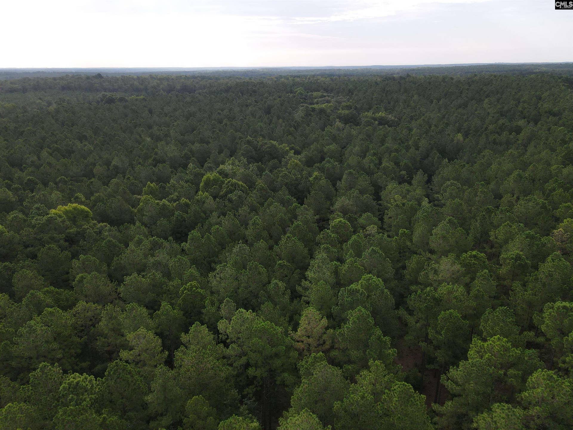 Tract 2 Bridle Path Road, Camden, SC 29020