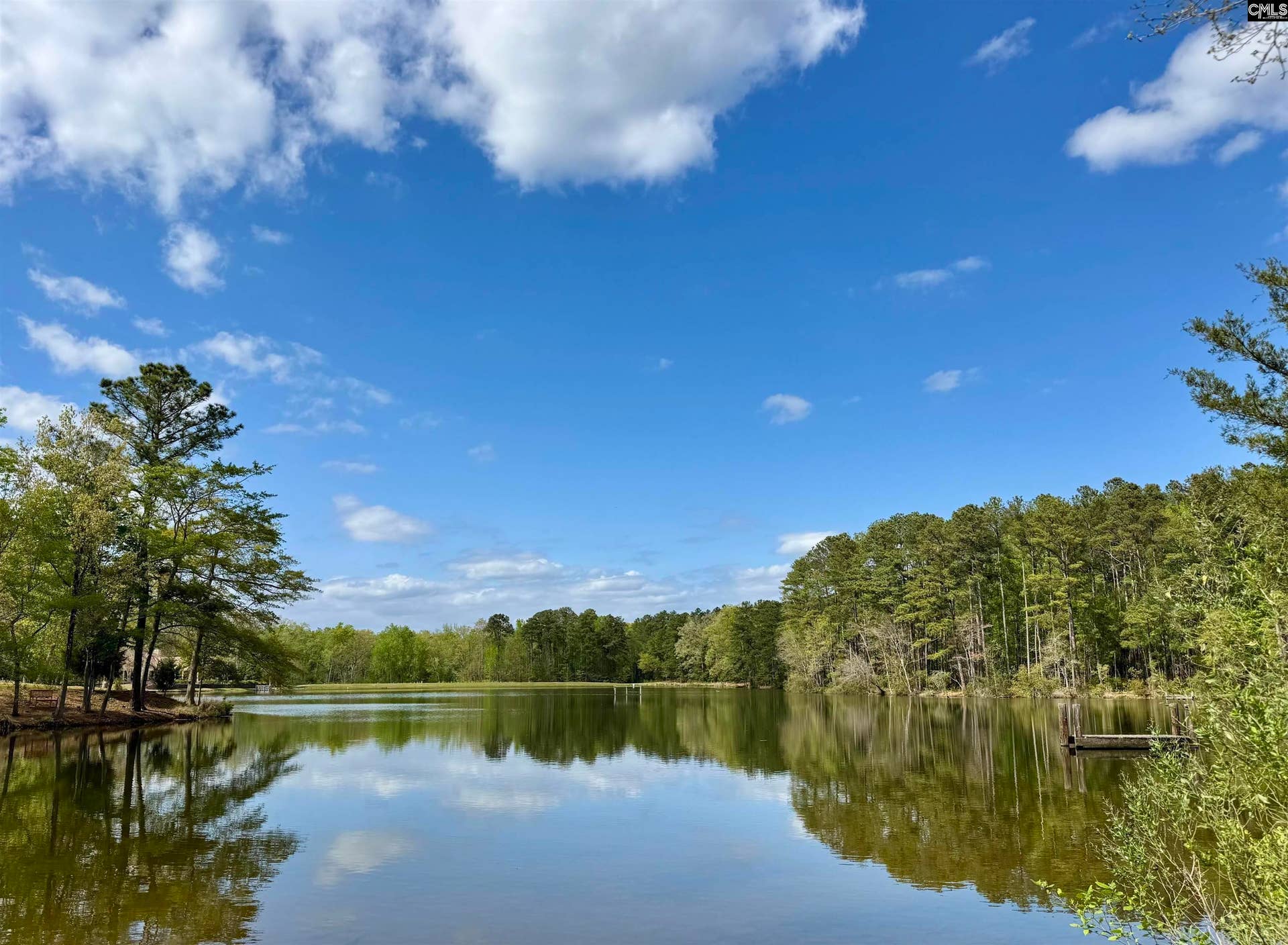 122 Clubside Drive, Lexington, SC 29072