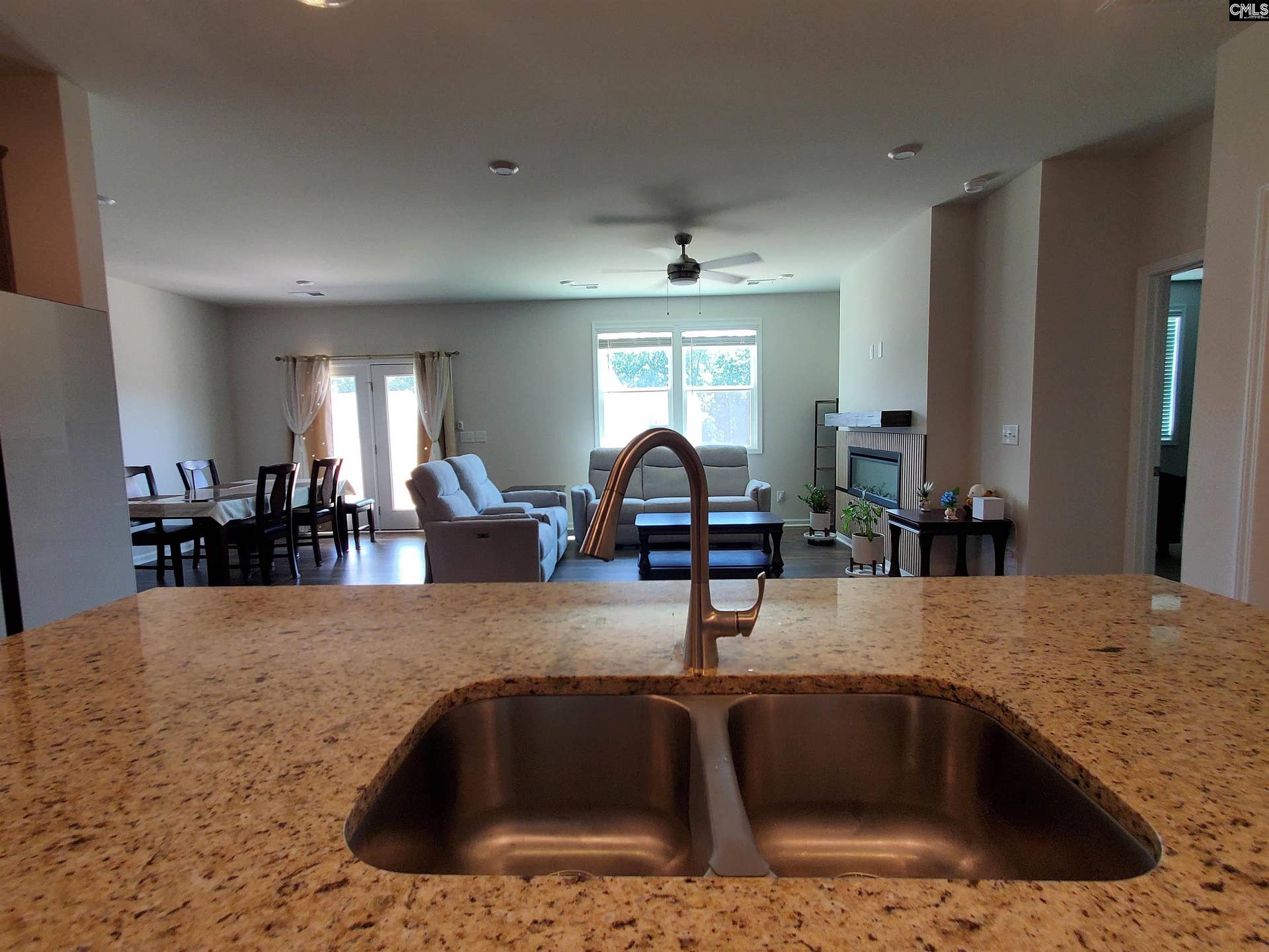 351 Chapin Place Way, Chapin, SC 29036