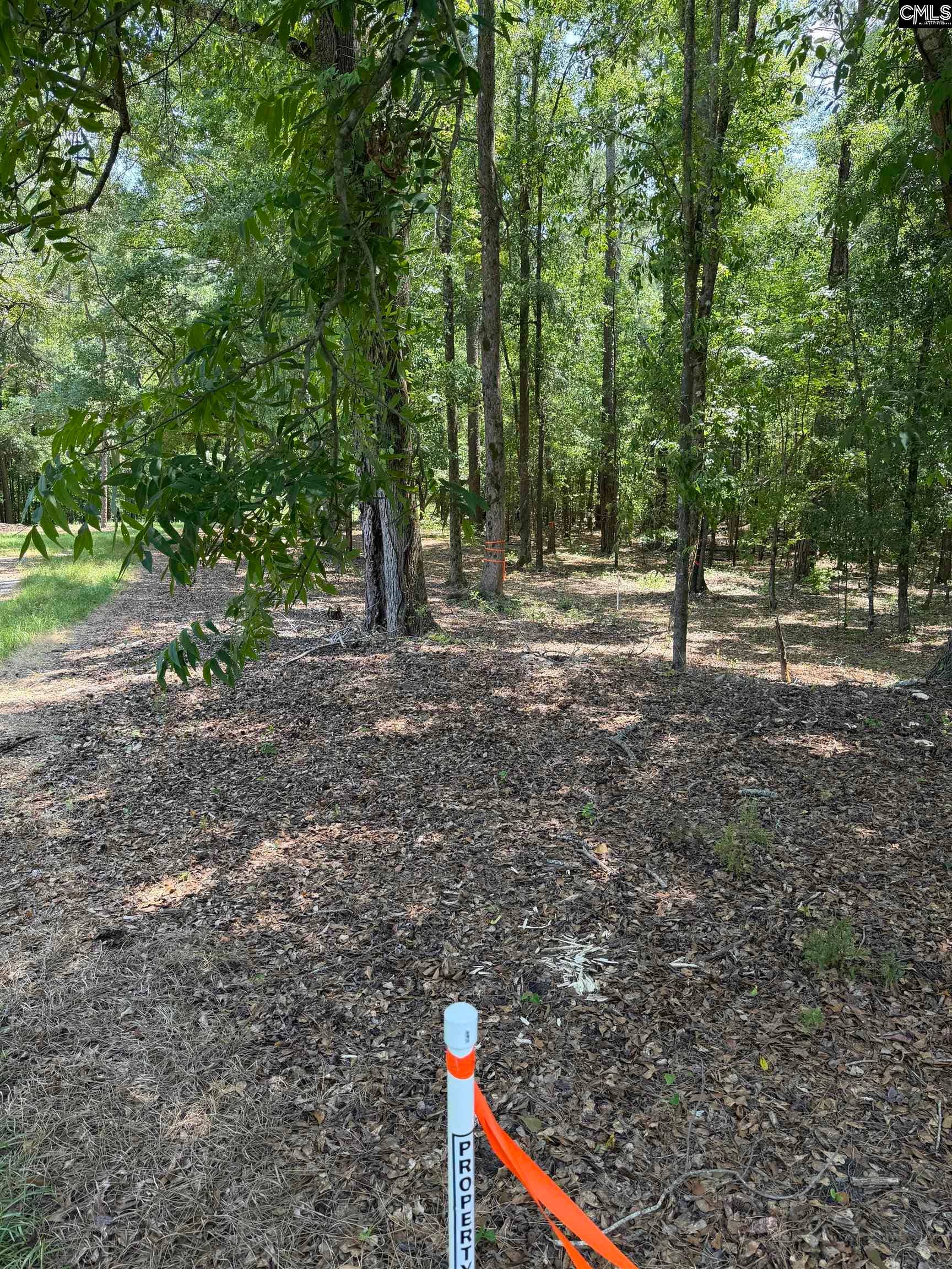 812 NE Sandfield Road, Blythewood, SC 20916