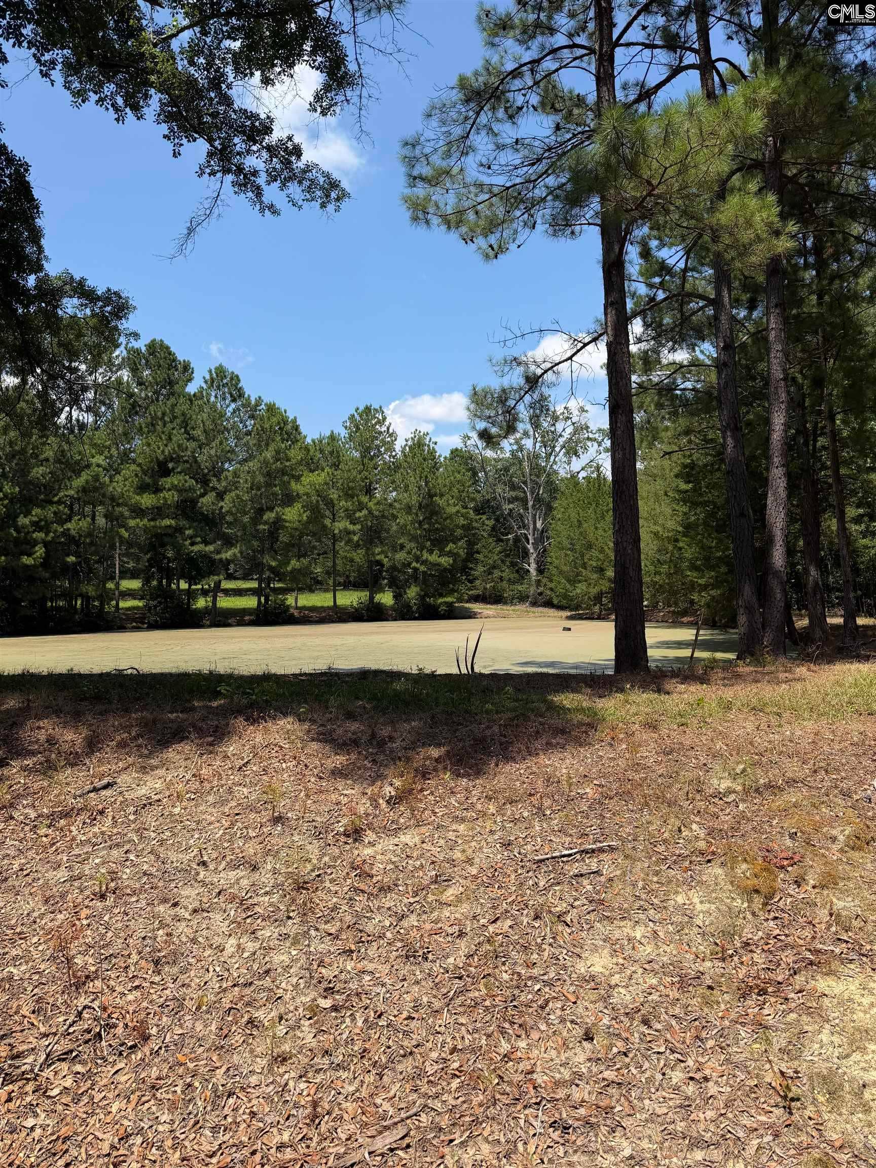 812 NE Sandfield Road, Blythewood, SC 20916