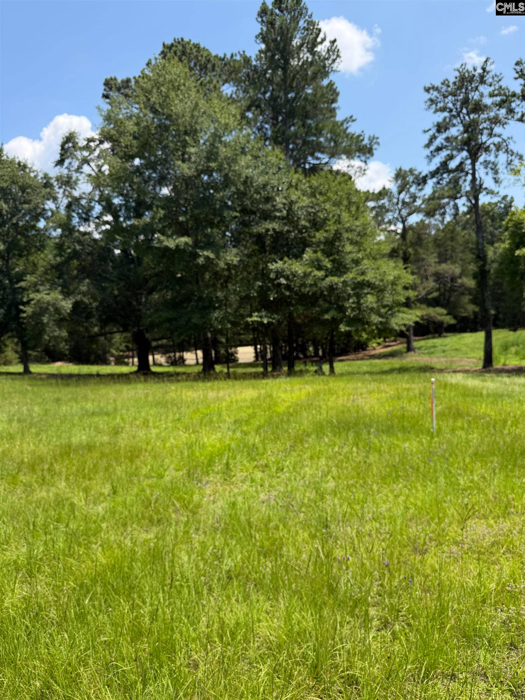 812 NE Sandfield Road, Blythewood, SC 20916