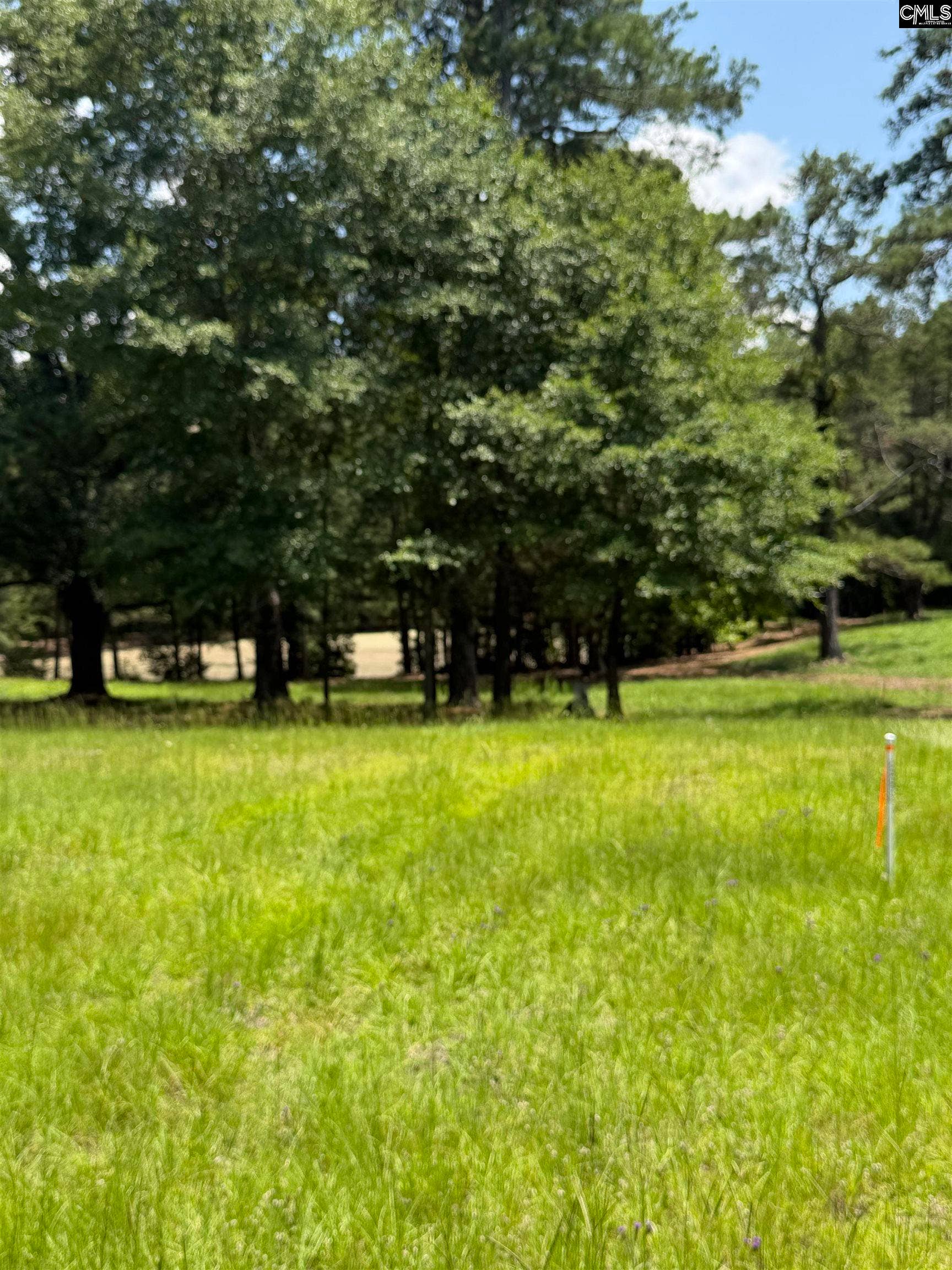 812 NE Sandfield Road, Blythewood, SC 20916