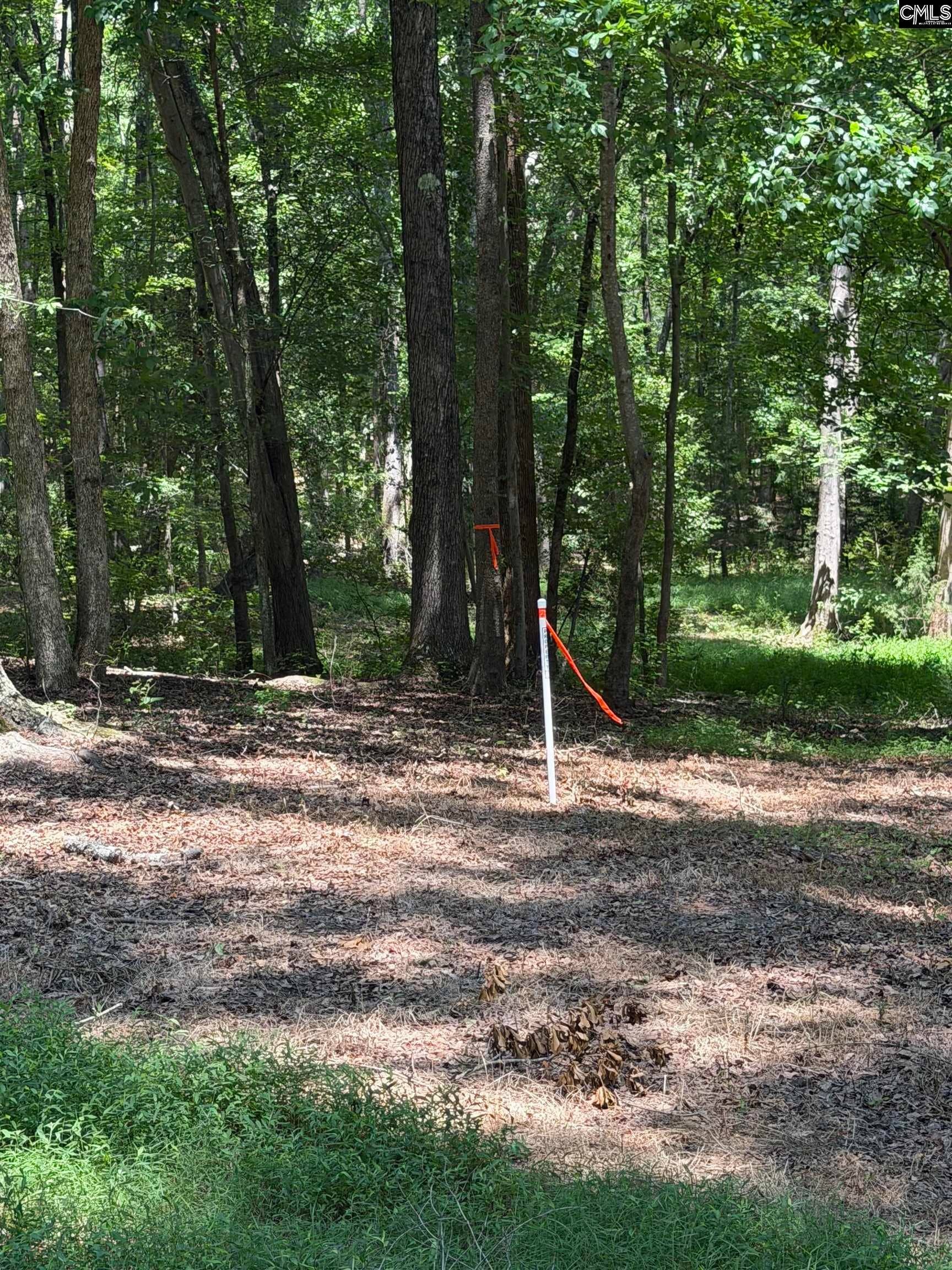 812 NE Sandfield Road, Blythewood, SC 20916