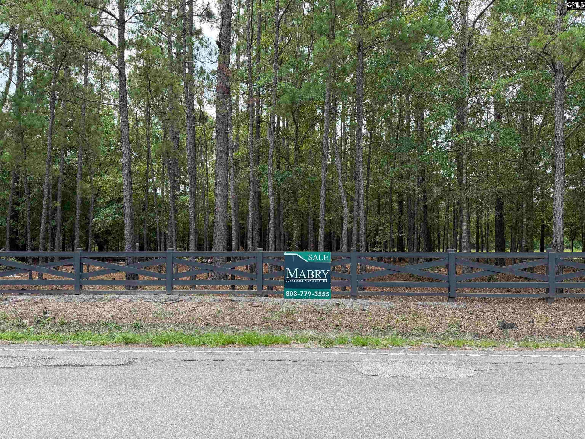 812 NE Sandfield Road, Blythewood, SC 20916