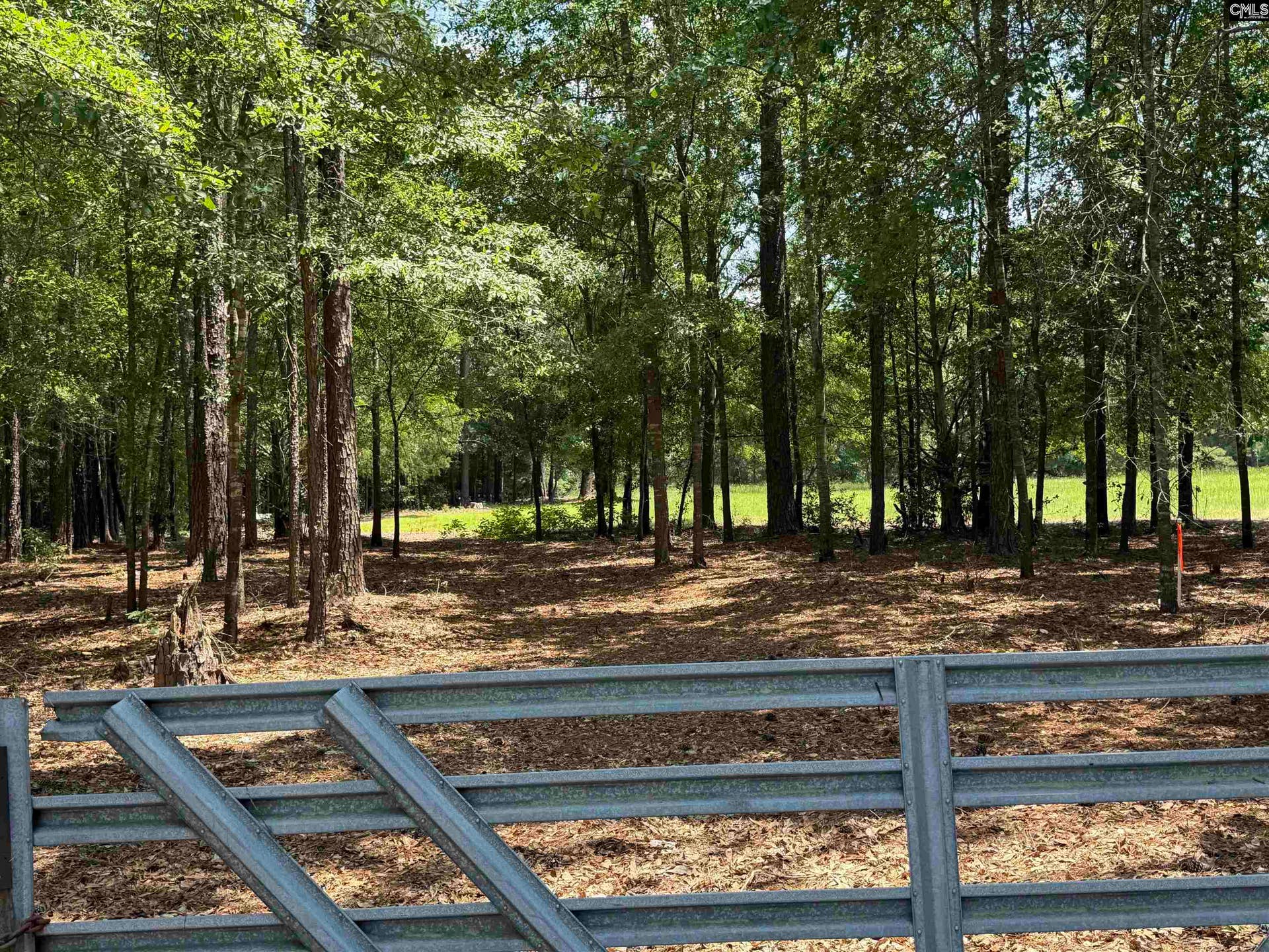 812 NE Sandfield Road, Blythewood, SC 20916