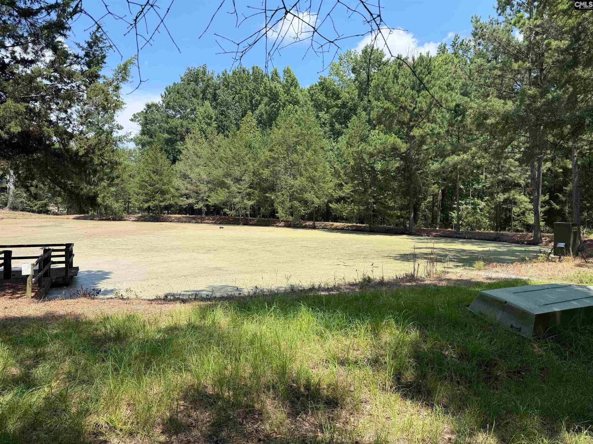 812 NE Sandfield Road, Blythewood, SC 20916