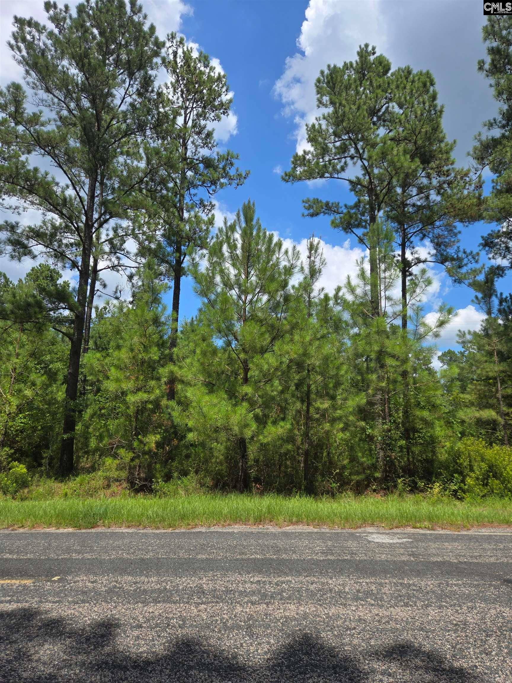 2374 Mount Hebron Road, #1, Cassatt, SC 29032