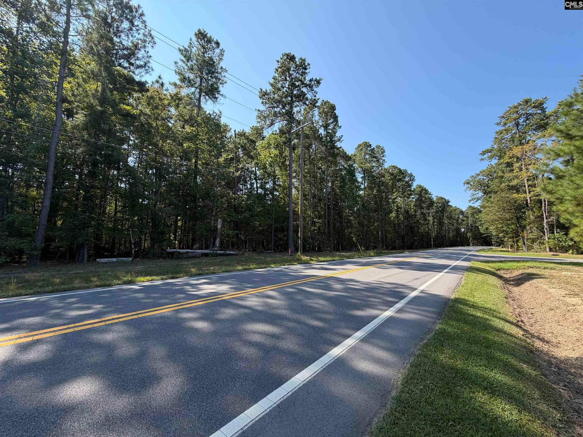 367 Murray Lindler Road, Chapin, SC 29036