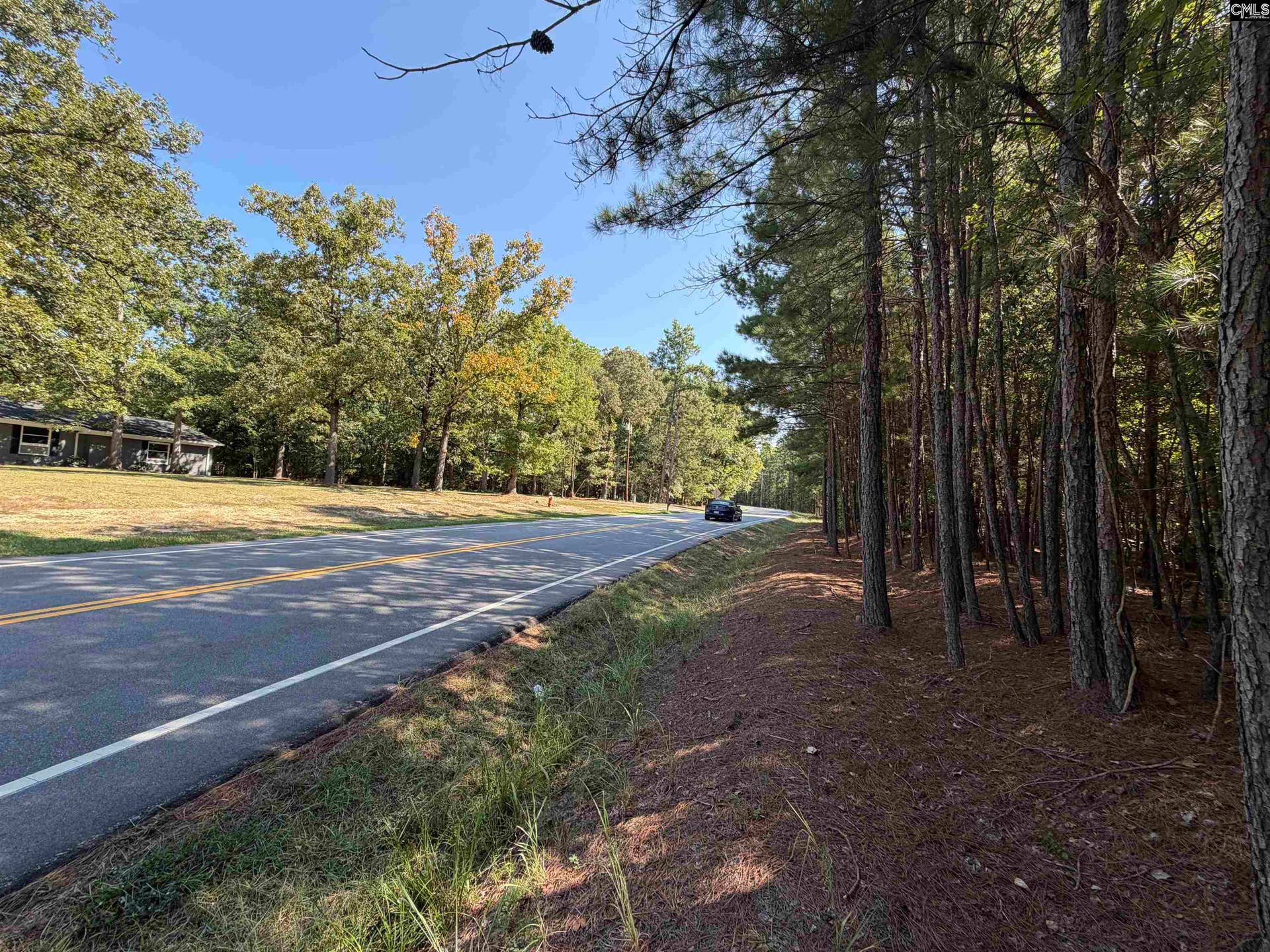 391 Murray Lindler Road, Chapin, SC 29036