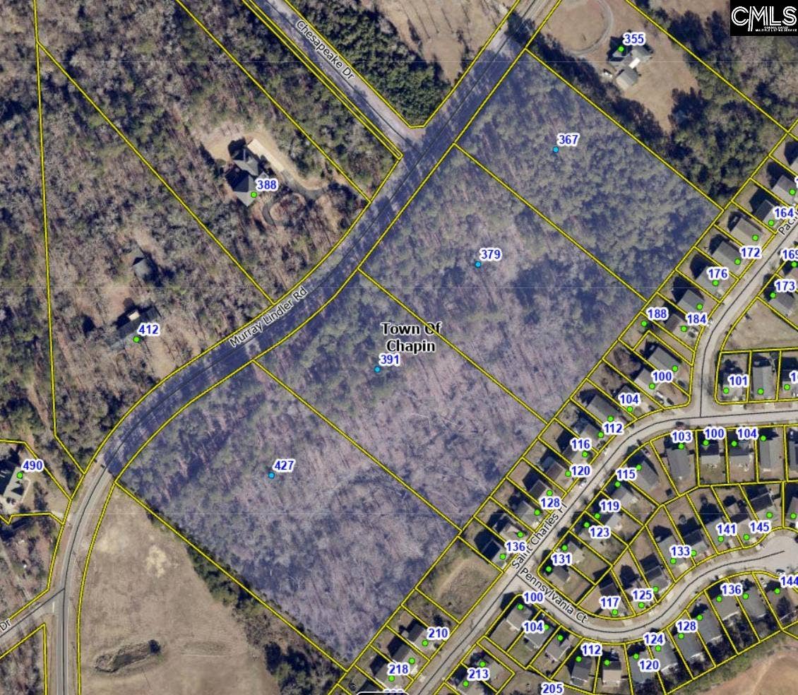 391 Murray Lindler Road, Chapin, SC 29036