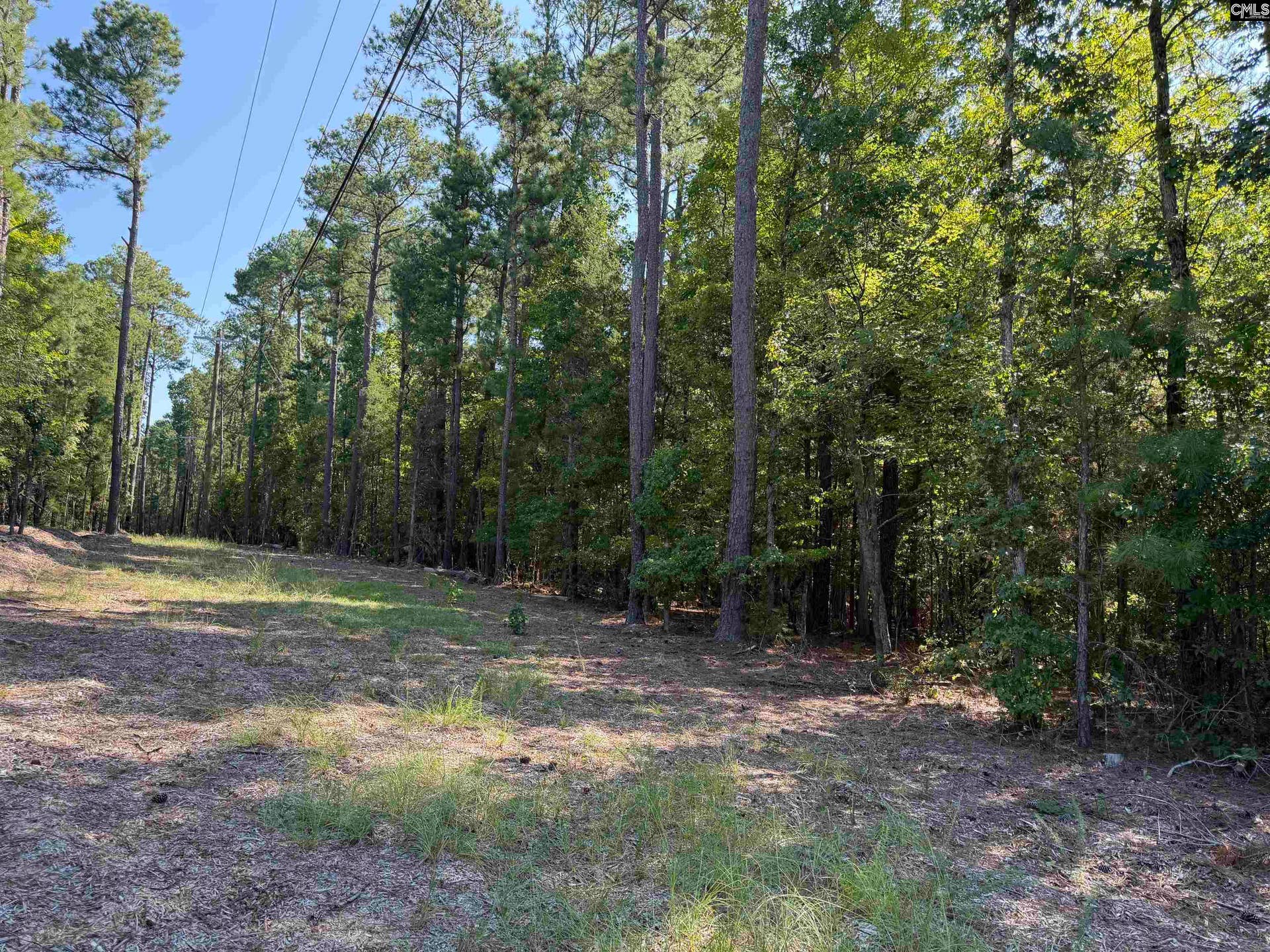 427 Murray Lindler Road, Chapin, SC 29036