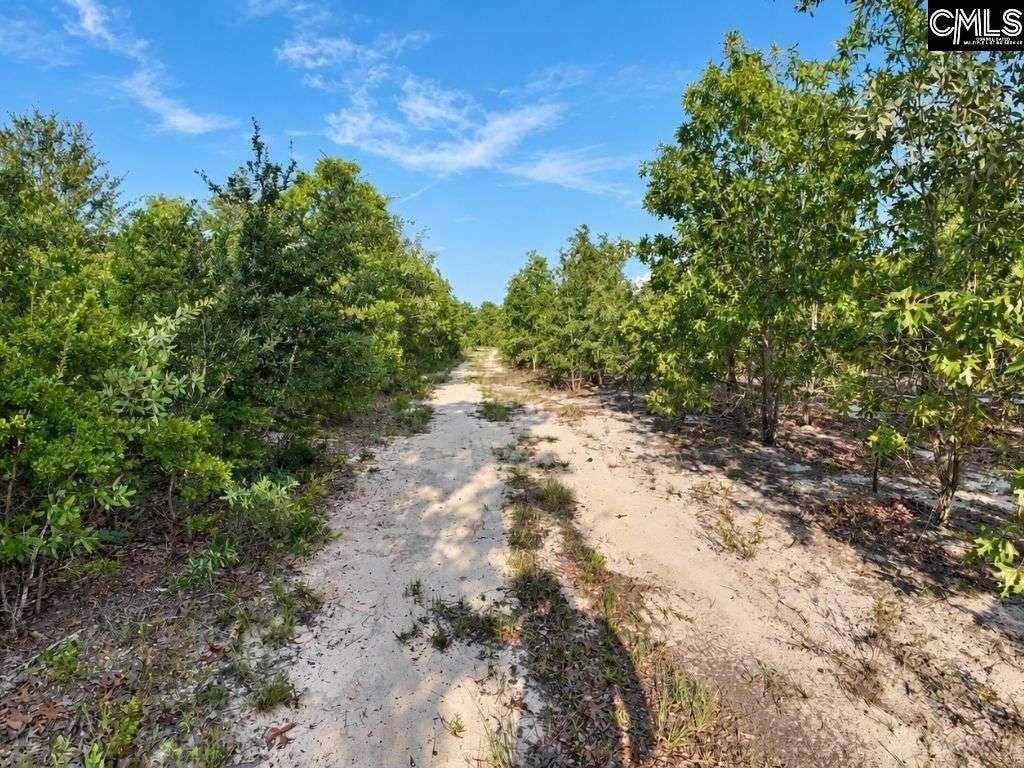 0 Lot 1 Old Georgetown Road W, Cassatt, SC 29032
