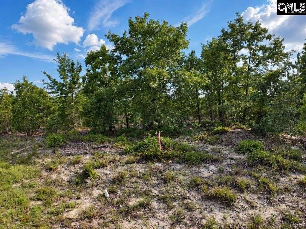 0 Lot 1 Old Georgetown Road W, Cassatt, SC 29032