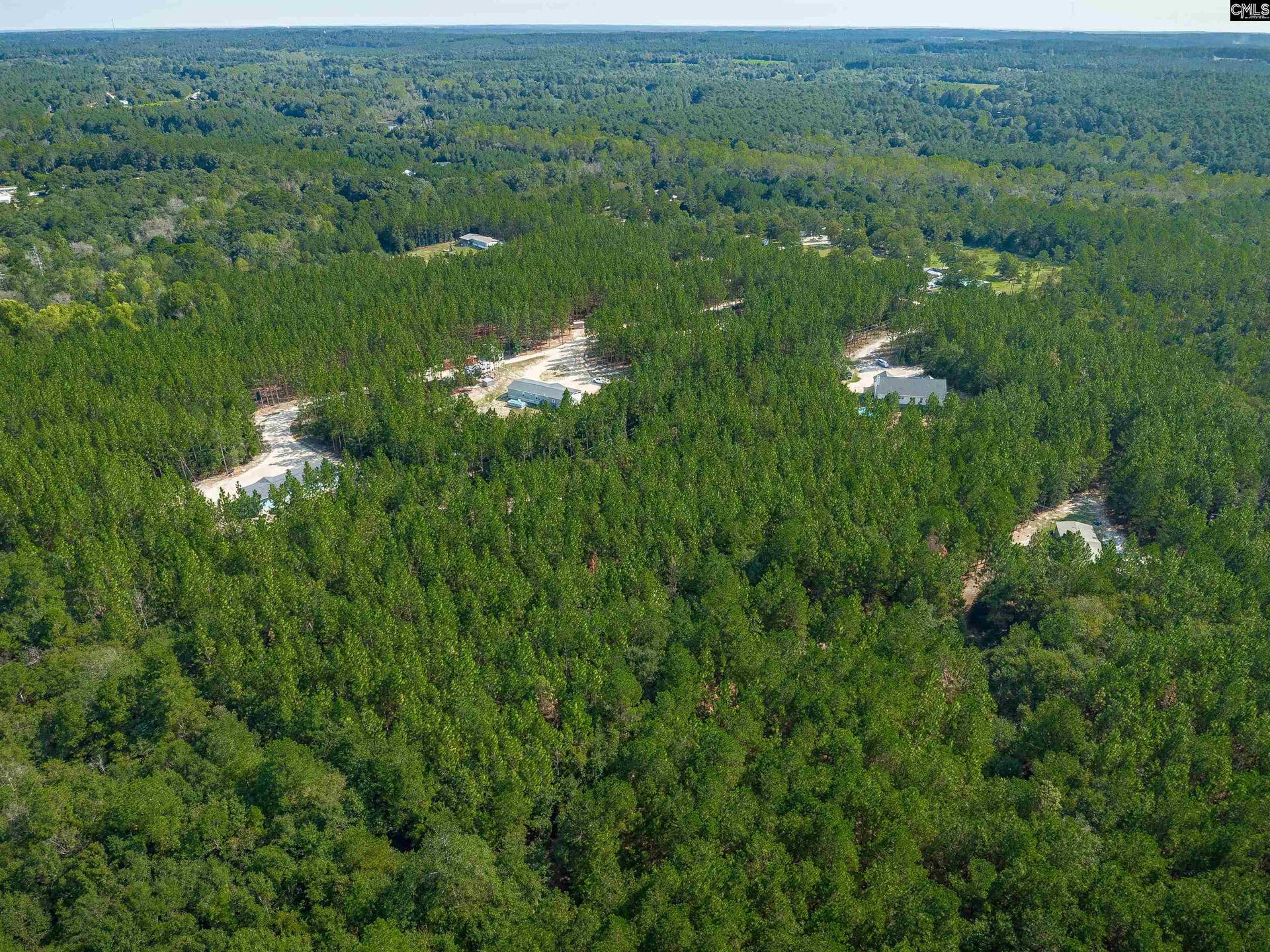 1108 Cotton Branch Road, Leesville, SC 29070