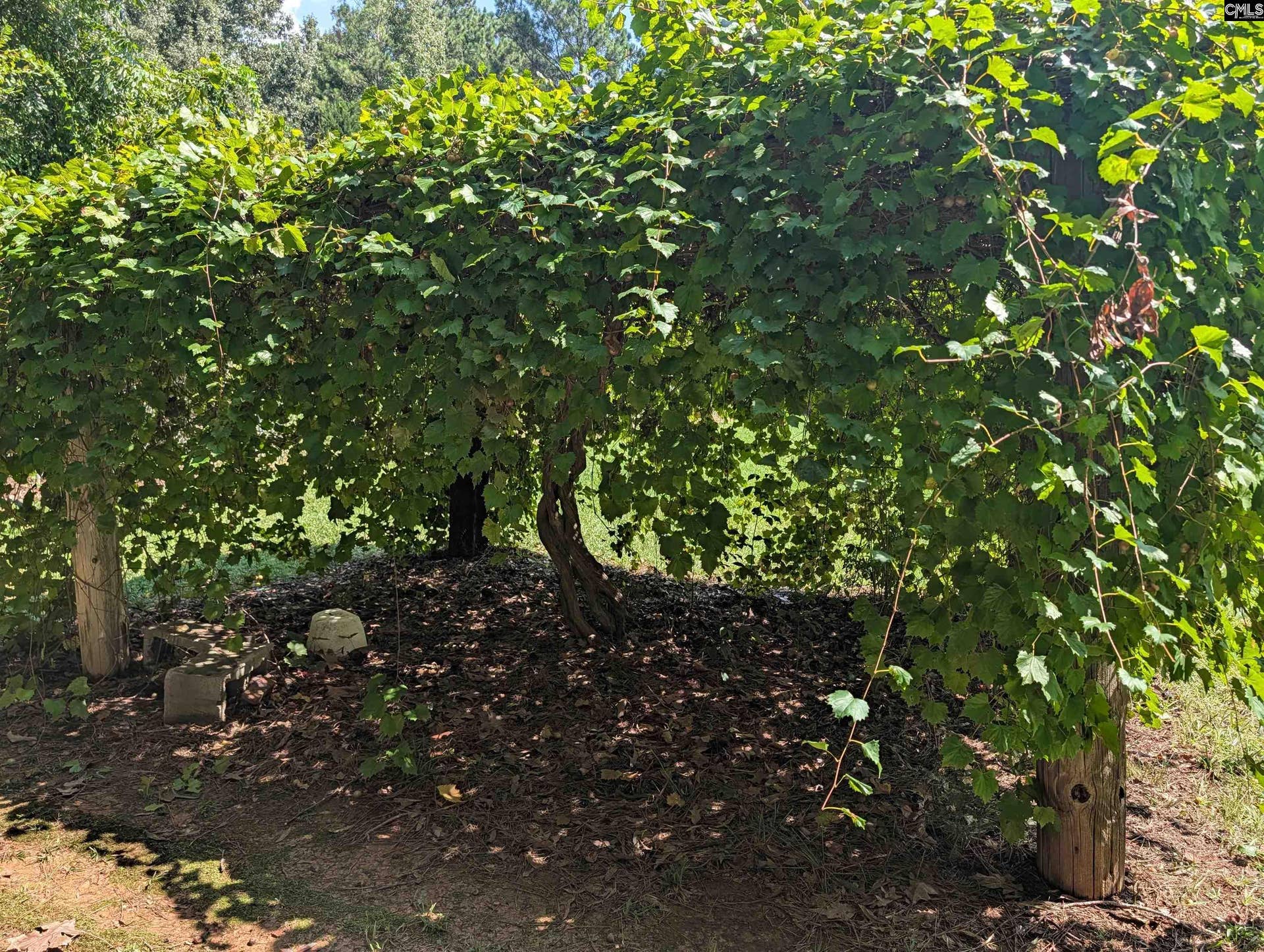 00 Nature Way, Saluda, SC 23198