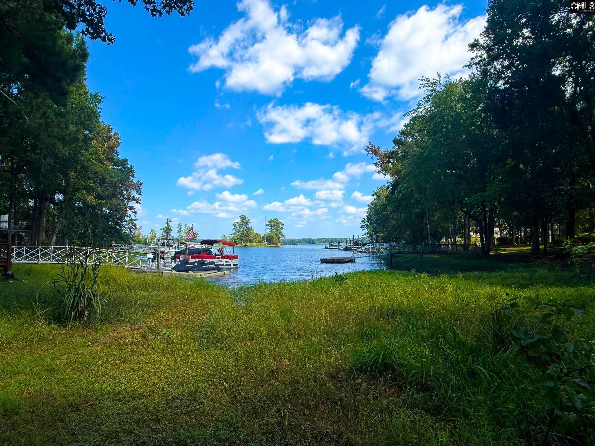 308 Night Harbor Drive, Chapin, SC 29036