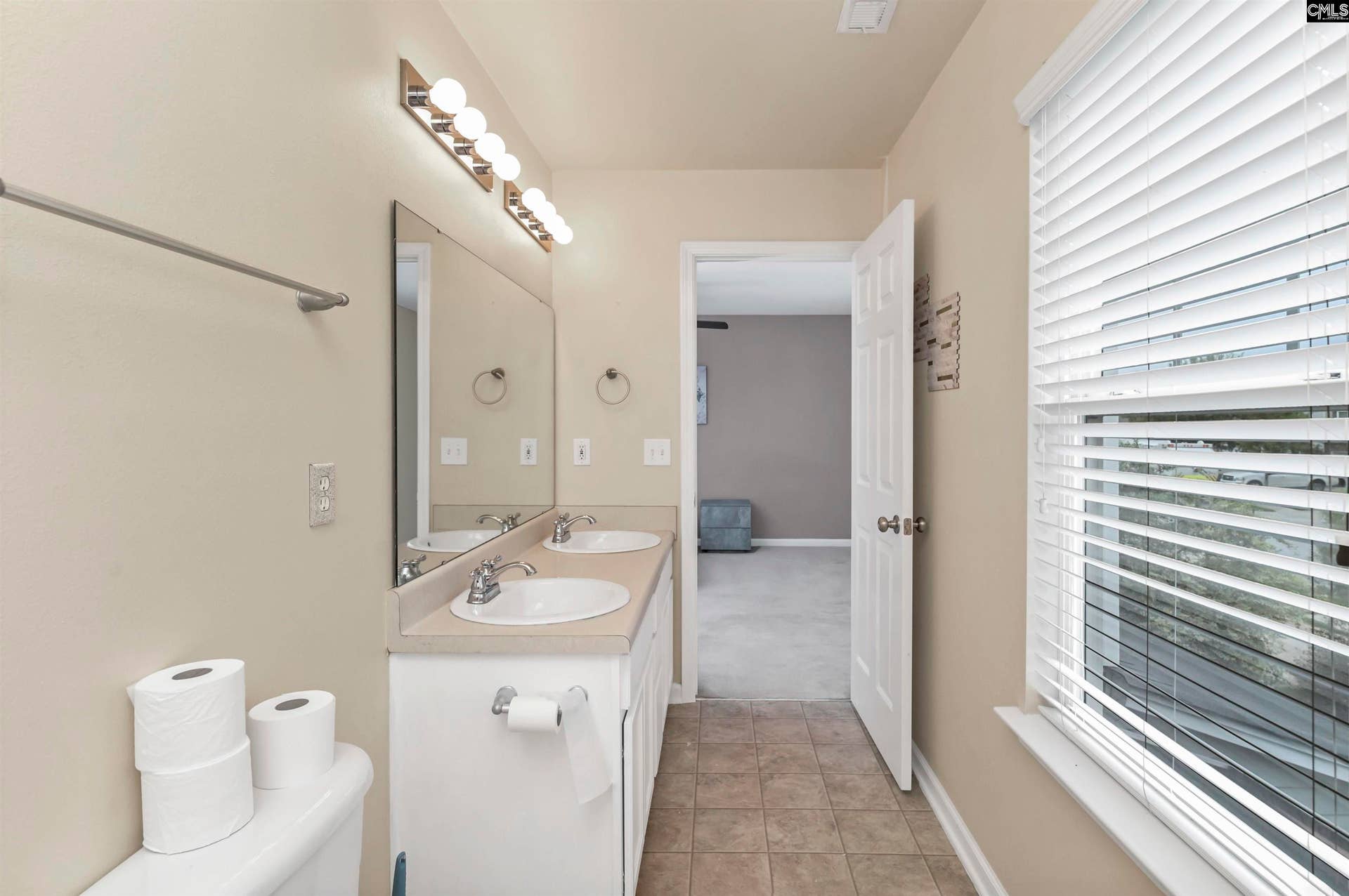 163 Stanley Court, Lexington, SC 29073-6876