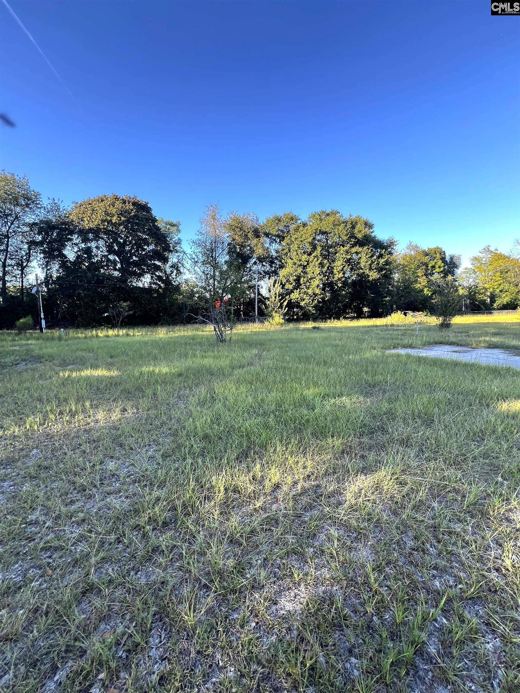 301 Blue Sky Drive, West Columbia, SC 29172