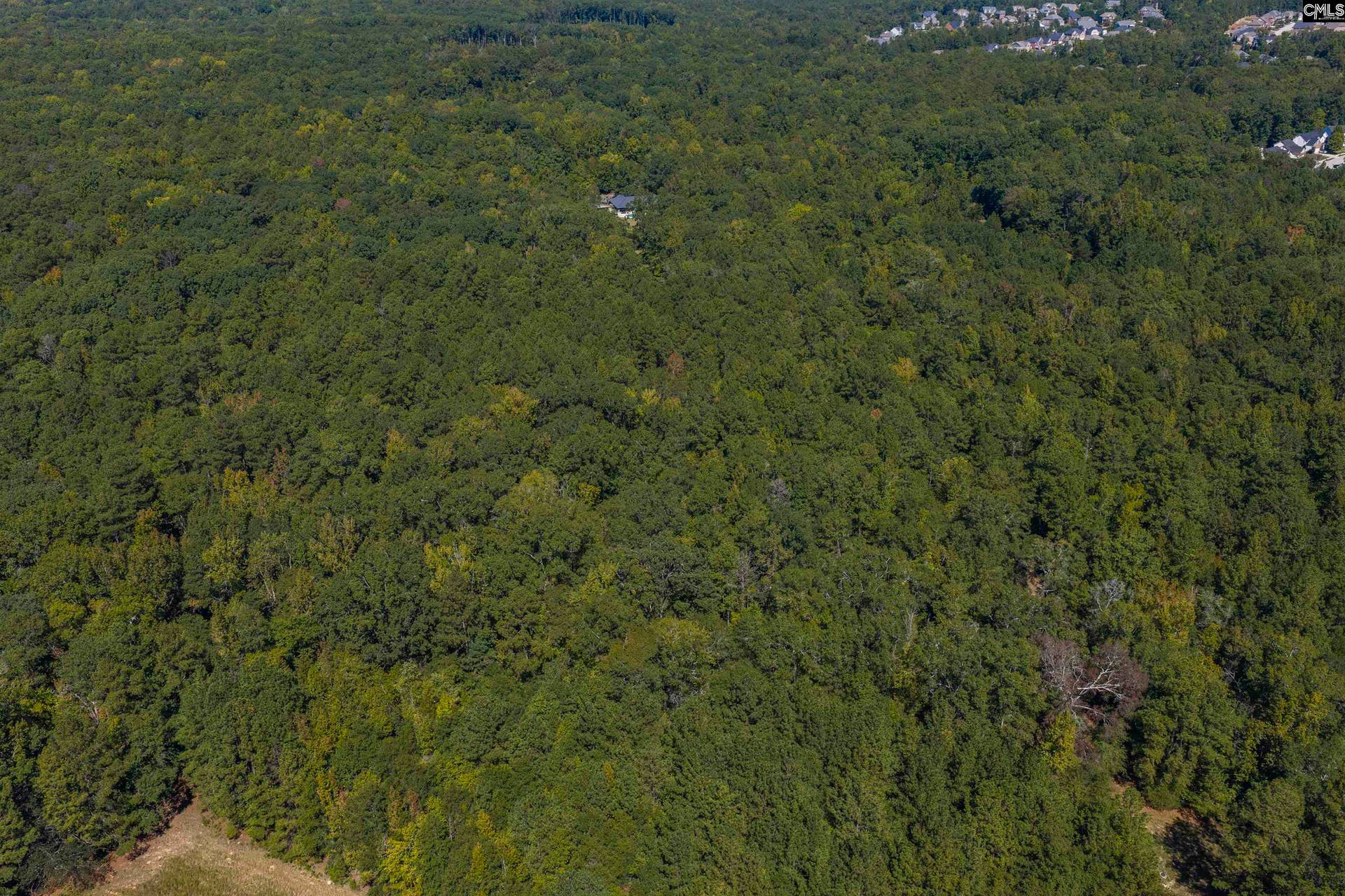 349 Turkey Farm Road, Blythewood, SC 29016